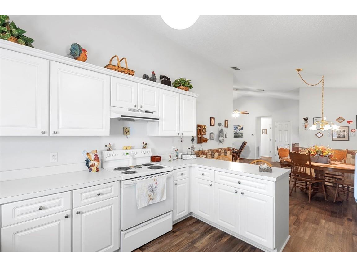 10320 Bumblebee Lane Leesburg FL 34788 - LAKE HARRIS O6367207 image14