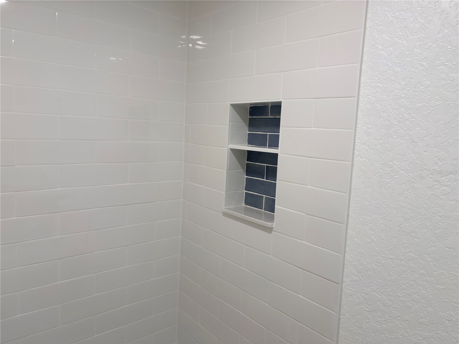10320 County Lake Drive Port Richey FL 34668 W7884912 image14