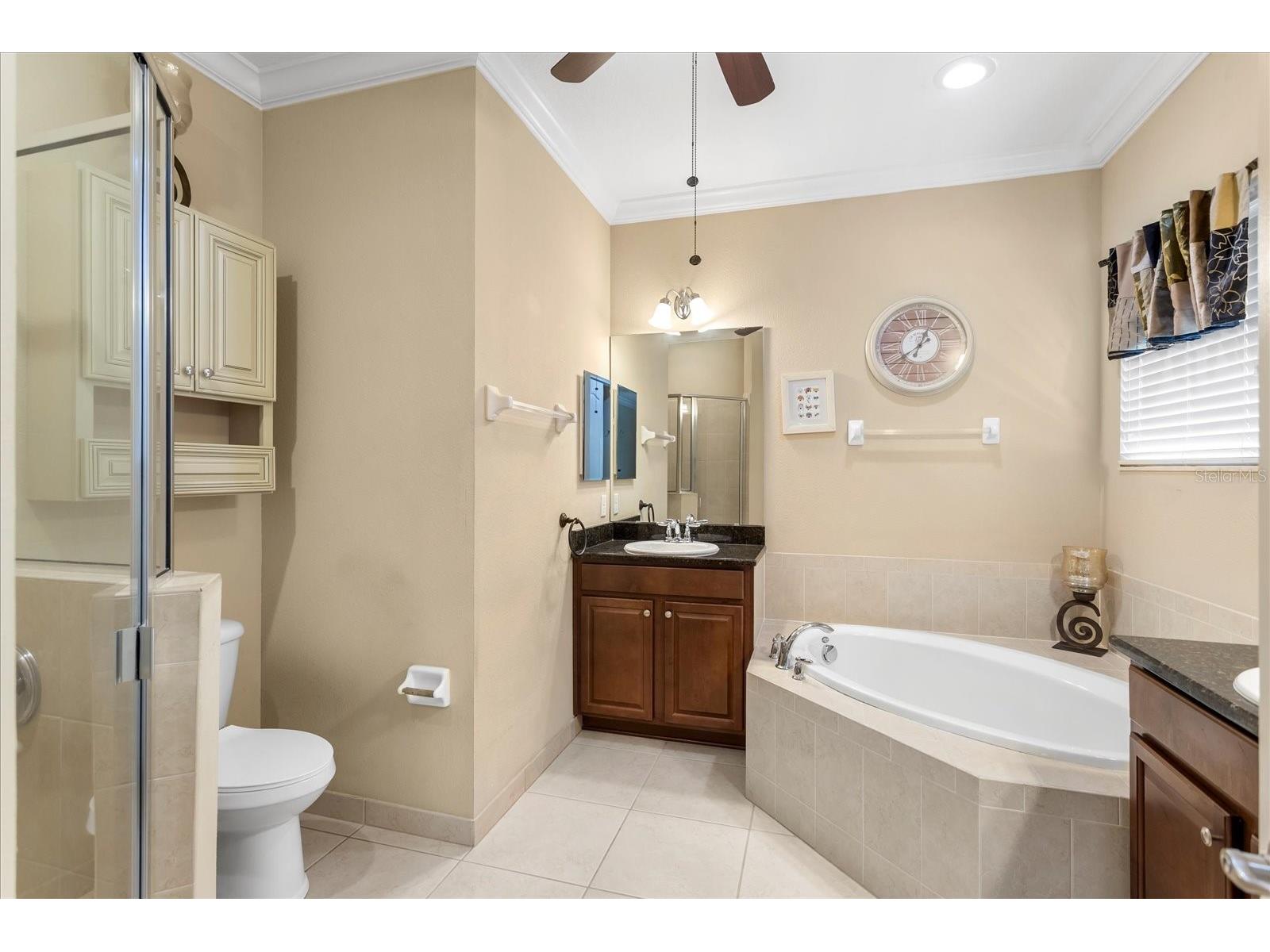 10321 Belfry Circle Orlando FL 32832 O6402544 image16