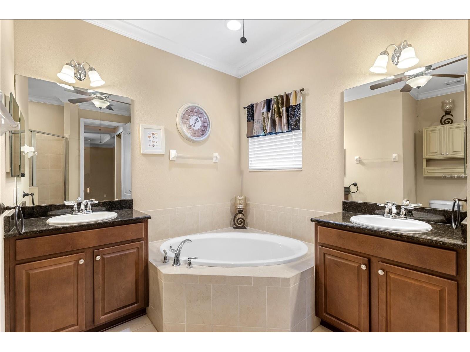 10321 Belfry Circle Orlando FL 32832 O6402544 image17