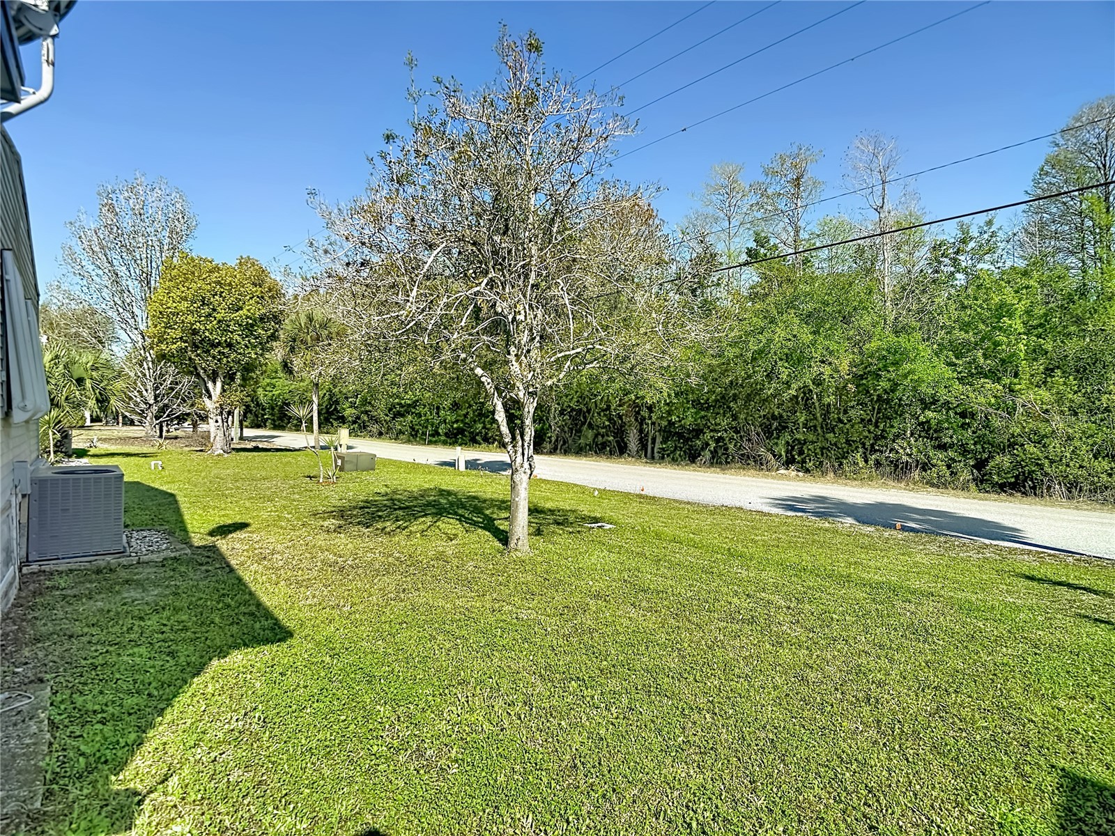 10321 Marinette Avenue Hudson FL 34667 W7883918 image41