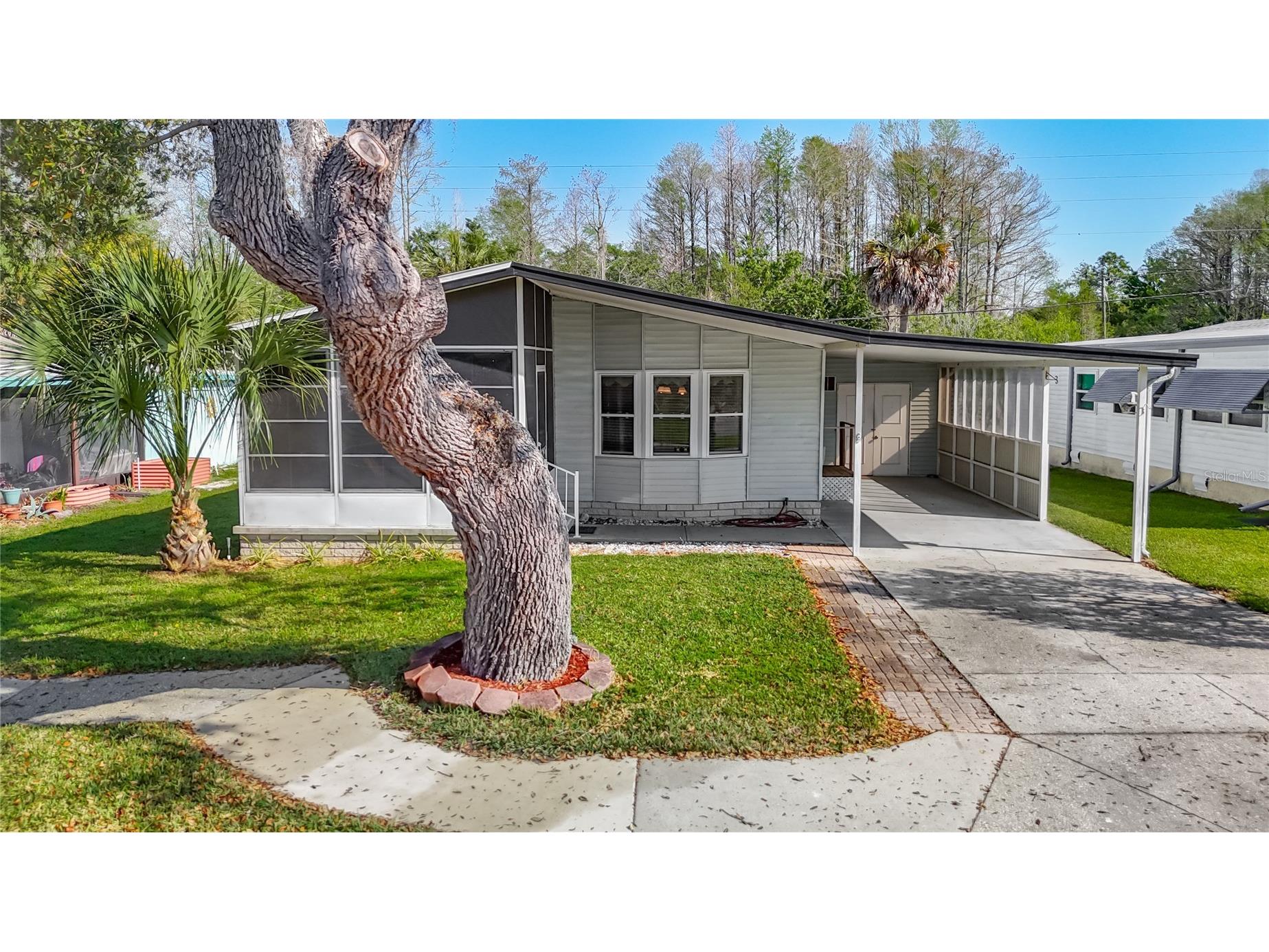 10321 Marinette Avenue Hudson FL 34667 W7883918 image50