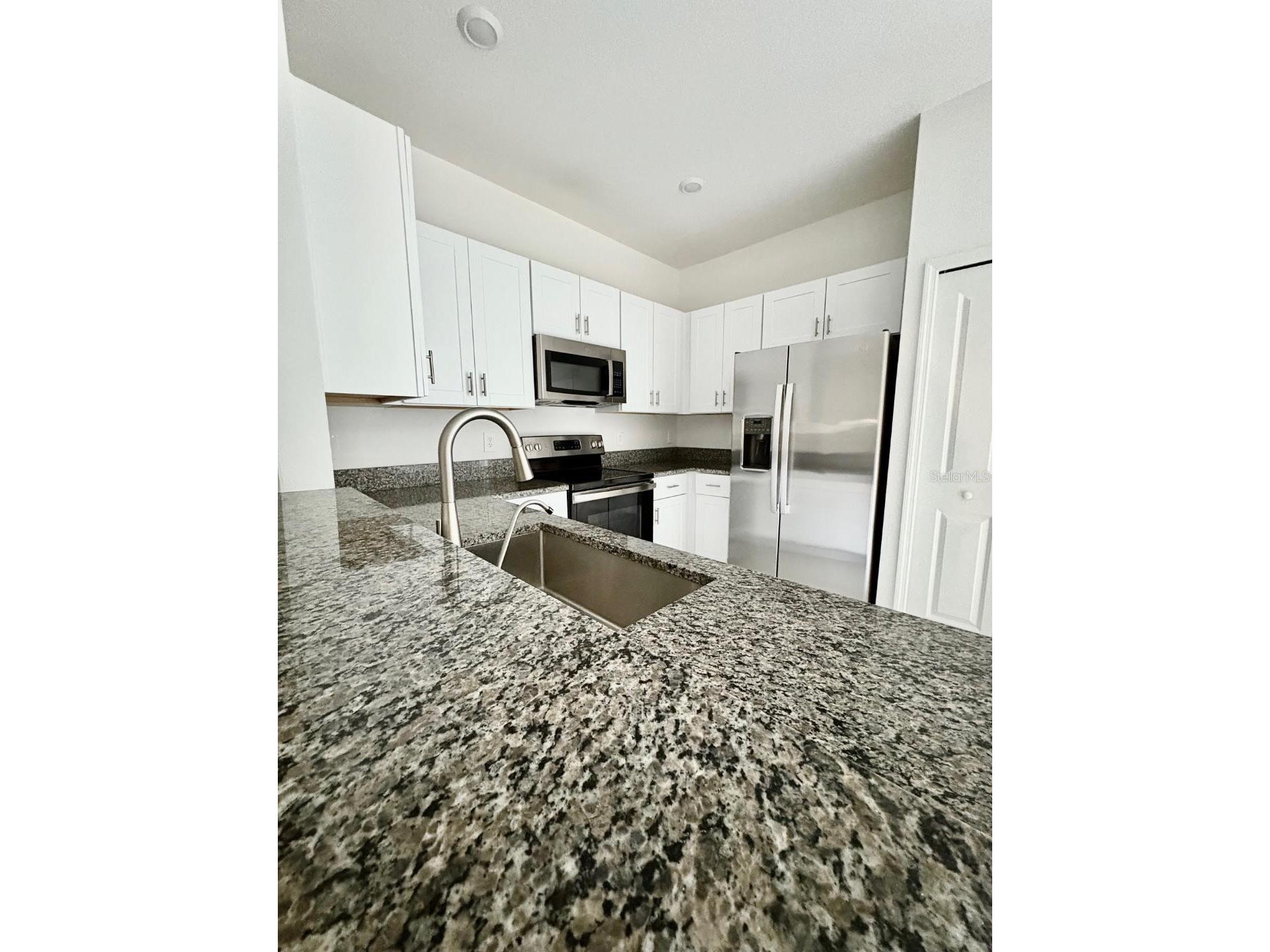 10321 Trumpet Honeysuckle Way San Antonio FL 33576 - MIRADA LAGOON W7883342 image6