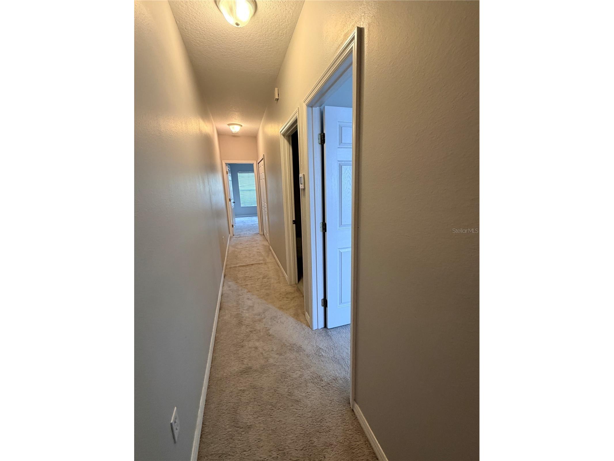 10321 Willow Leaf Trail Tampa FL 33625 TB8497731 image14