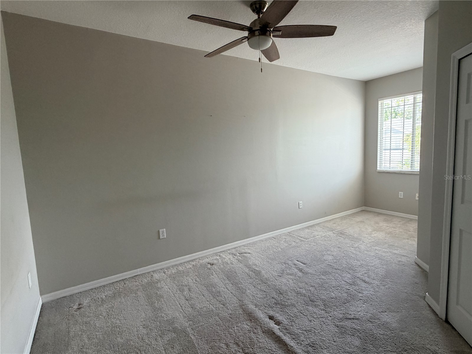 10321 Willow Leaf Trail Tampa FL 33625 TB8497731 image15