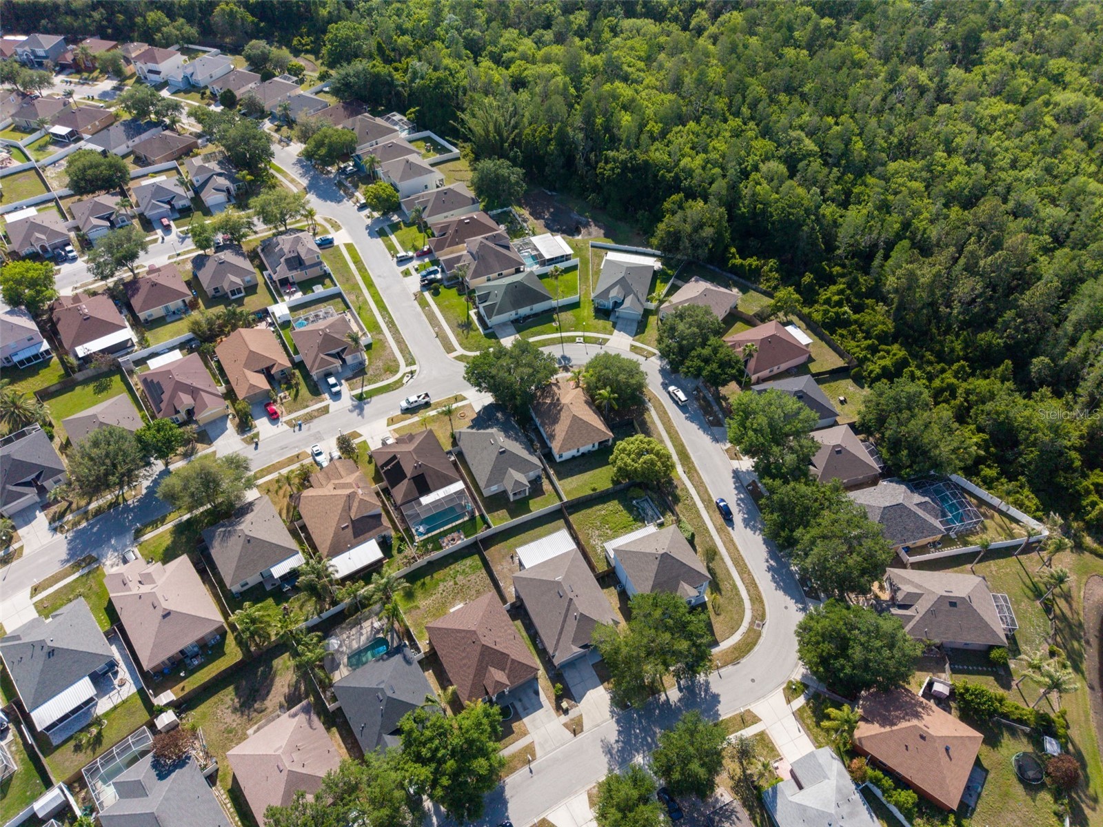 10323 Goldenbrook Way Tampa FL 33647 TB8500171 image41