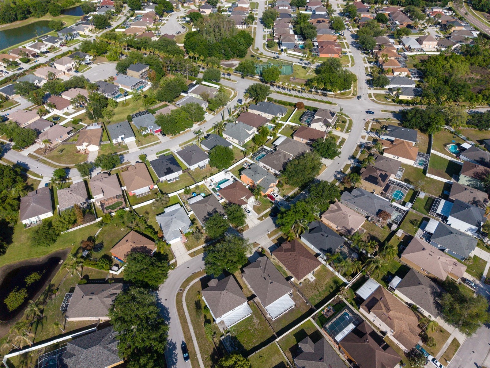 10323 Goldenbrook Way Tampa FL 33647 TB8500171 image43