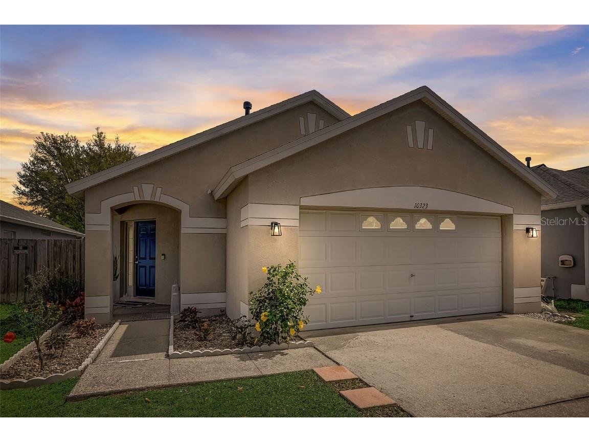 10323 Lakeside Vista Drive Riverview FL 33569 T3511509 image1