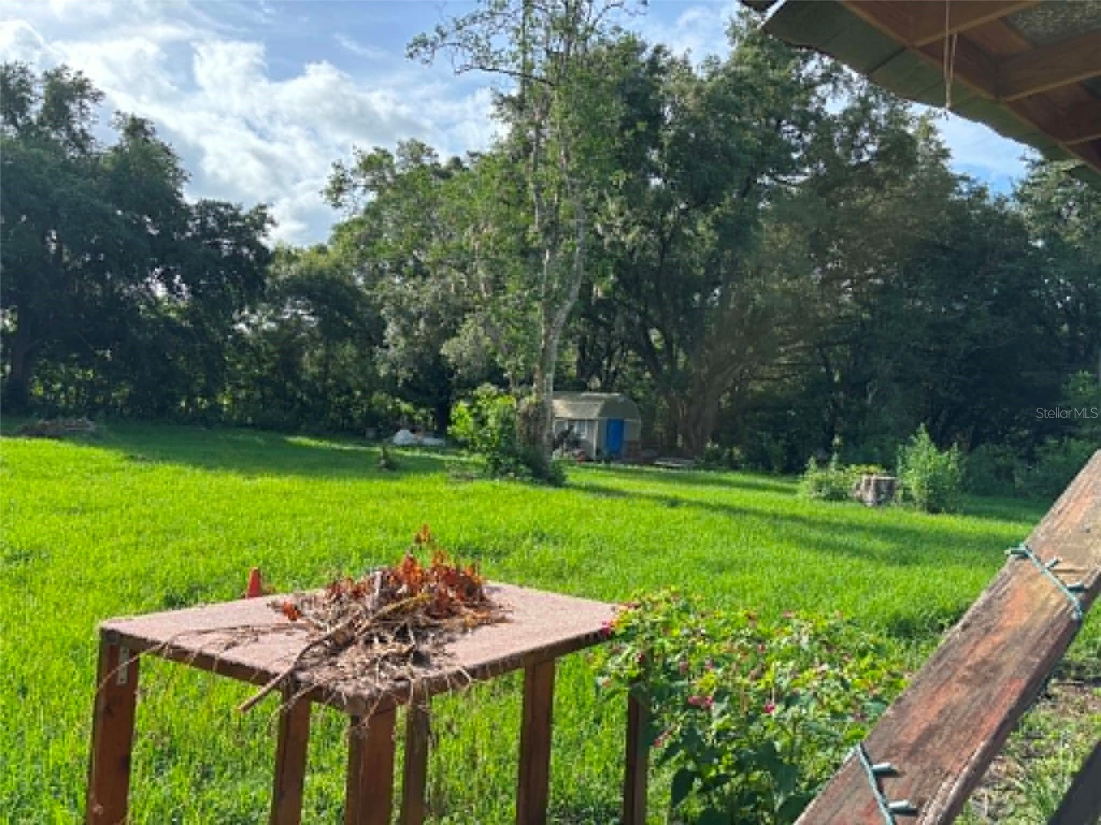 10323 S Arabian Avenue Floral City FL 34436 OM723804 image23