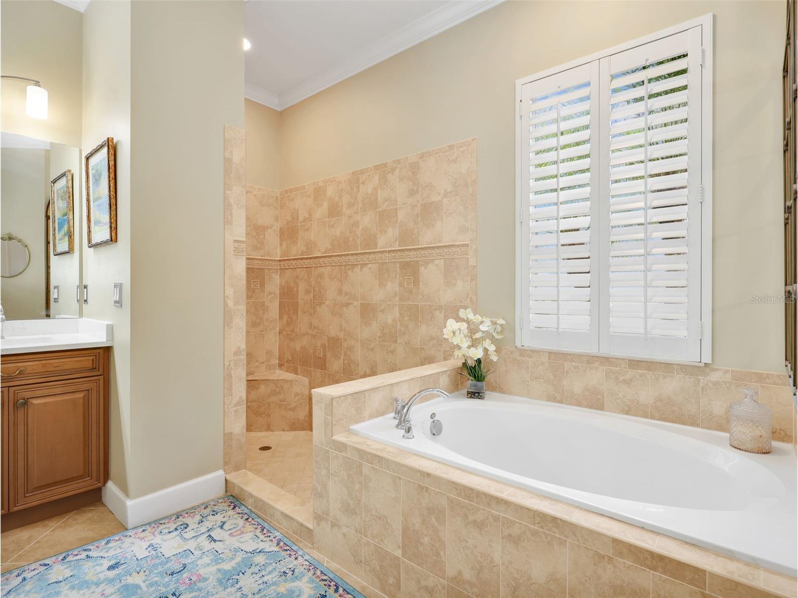10323 Wishing Stone Court Bonita Springs FL 34135 W7885658 image25