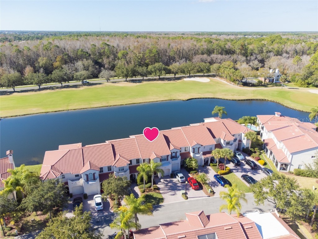 10324 Saville Rowe Lane Tampa FL 33626 T3351042 image1