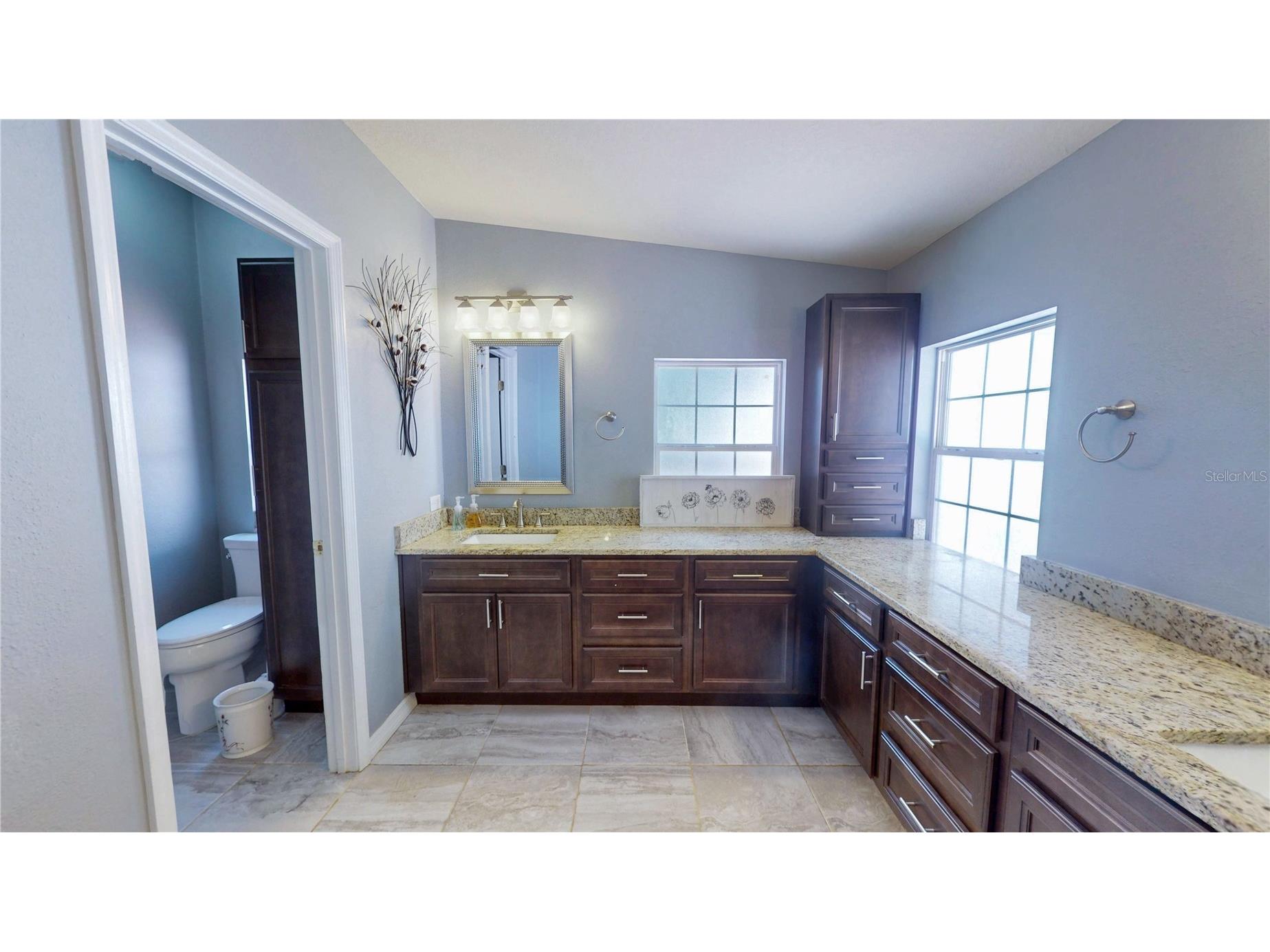 10324 Skewlee Road Thonotosassa FL 33592 TB8506199 image11