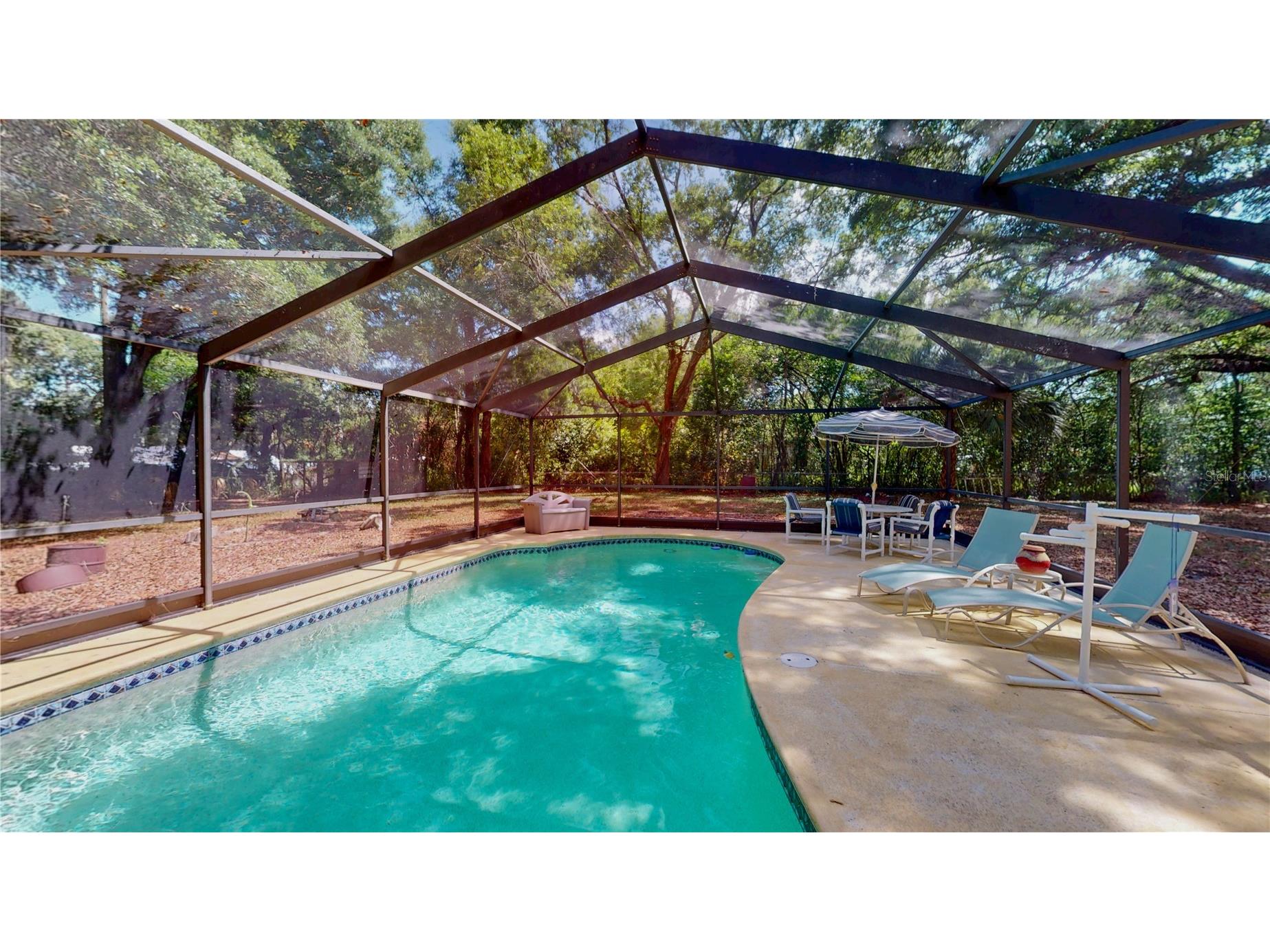 10324 Skewlee Road Thonotosassa FL 33592 TB8506199 image24