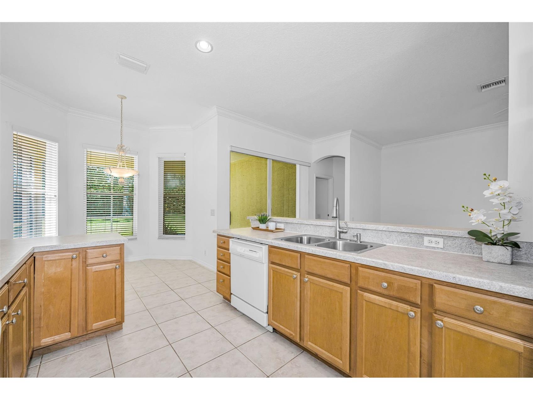 10324 Sorenstam Drive Trinity FL 34655 W7884495 image16