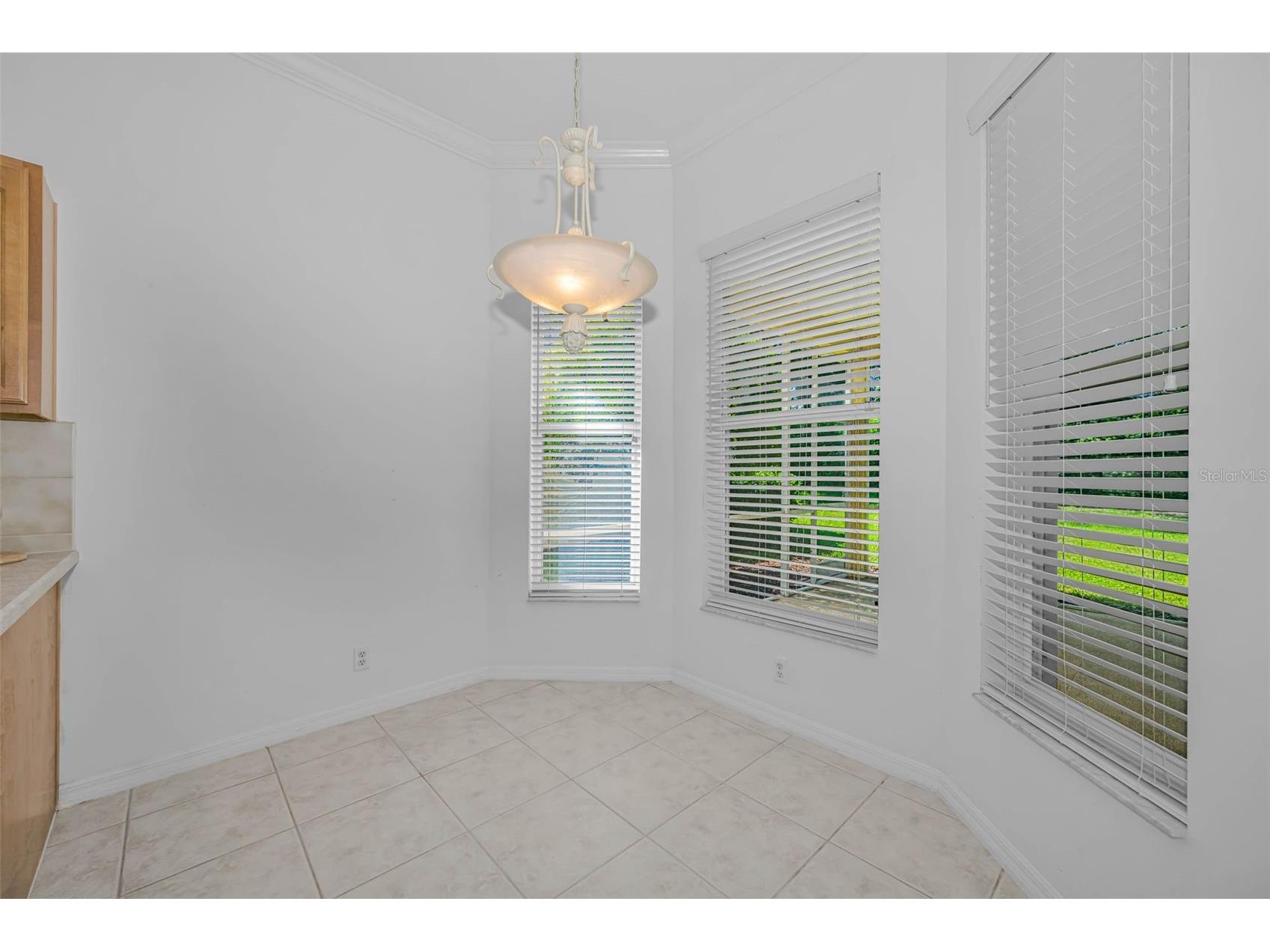 10324 Sorenstam Drive Trinity FL 34655 W7884495 image23