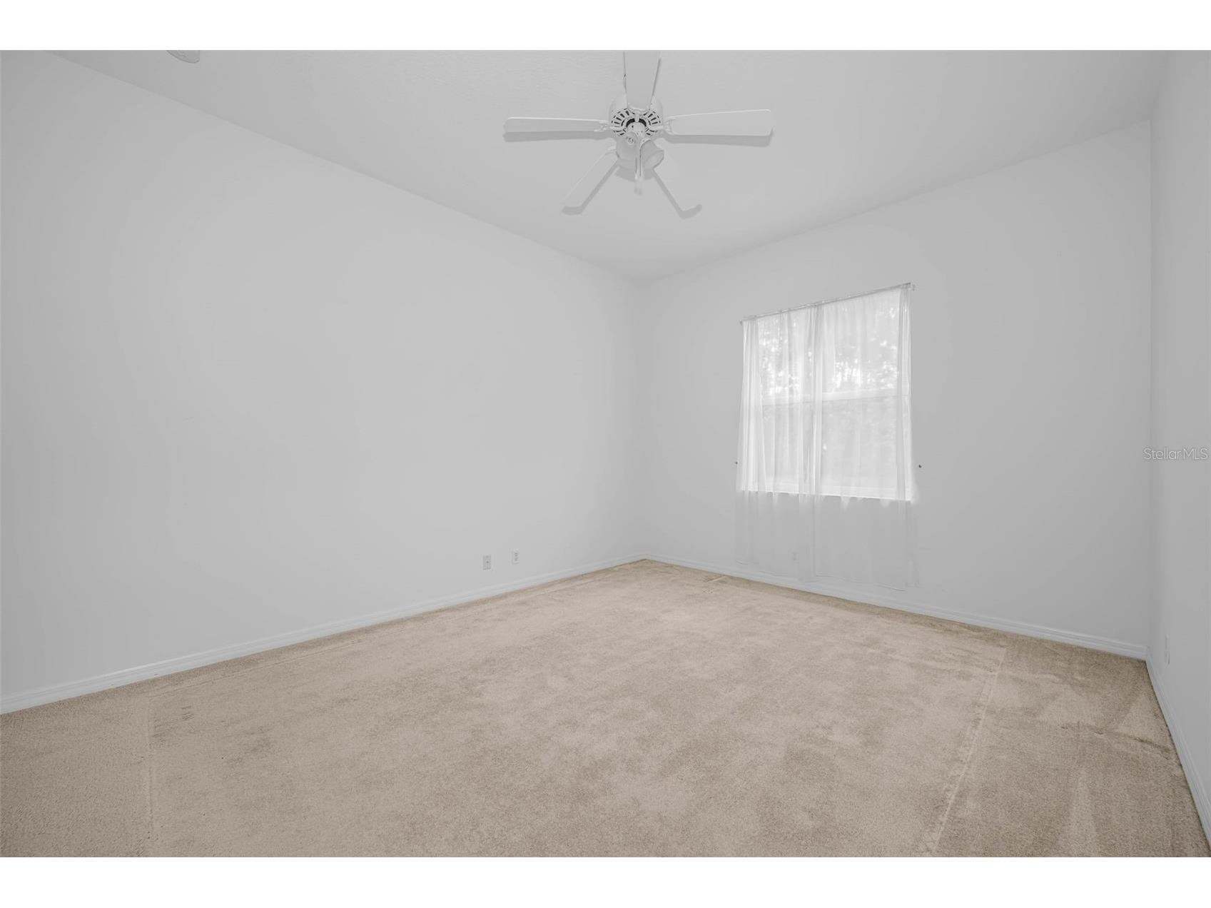 10324 Sorenstam Drive Trinity FL 34655 W7884495 image34