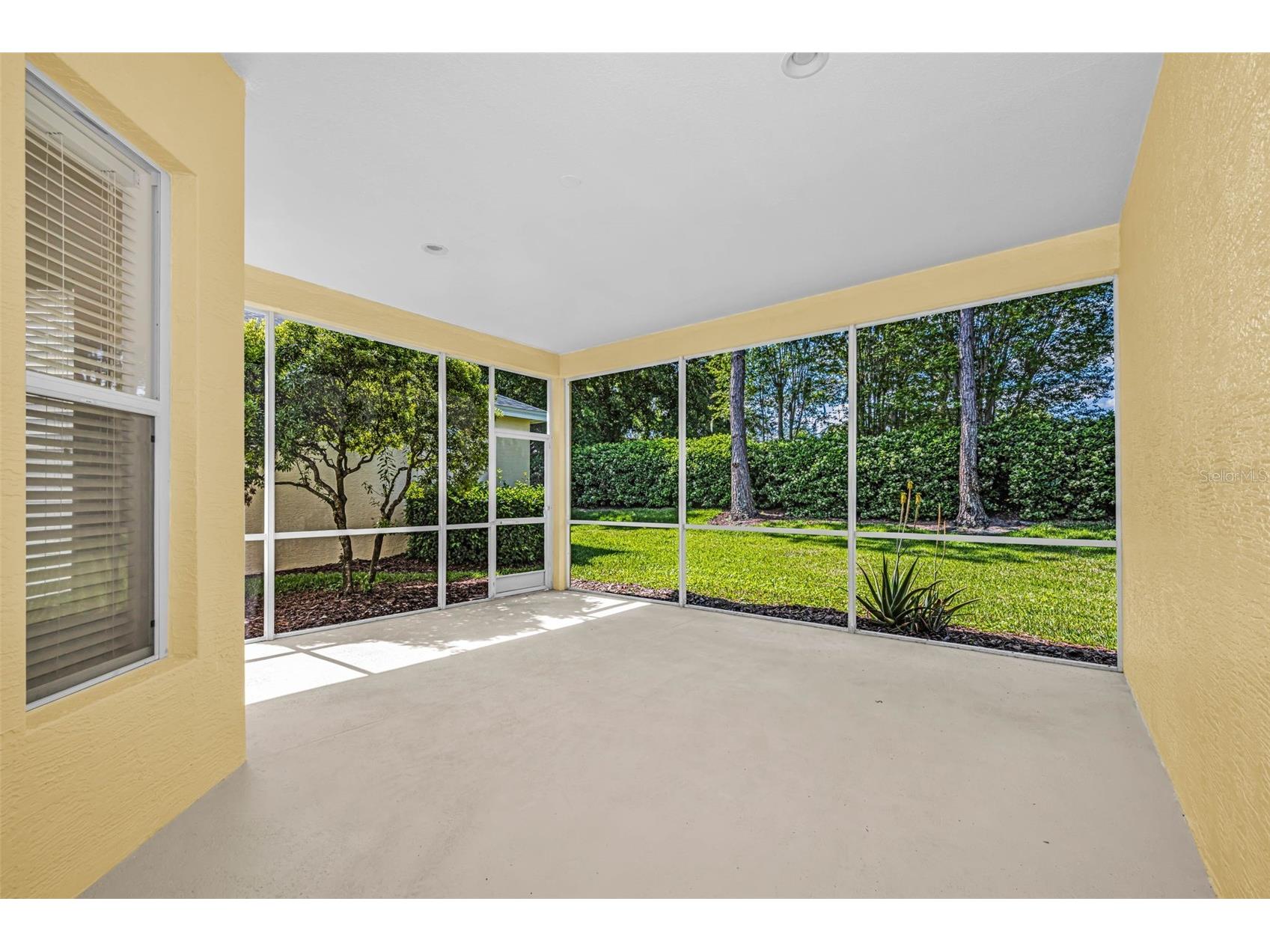 10324 Sorenstam Drive Trinity FL 34655 W7884495 image48