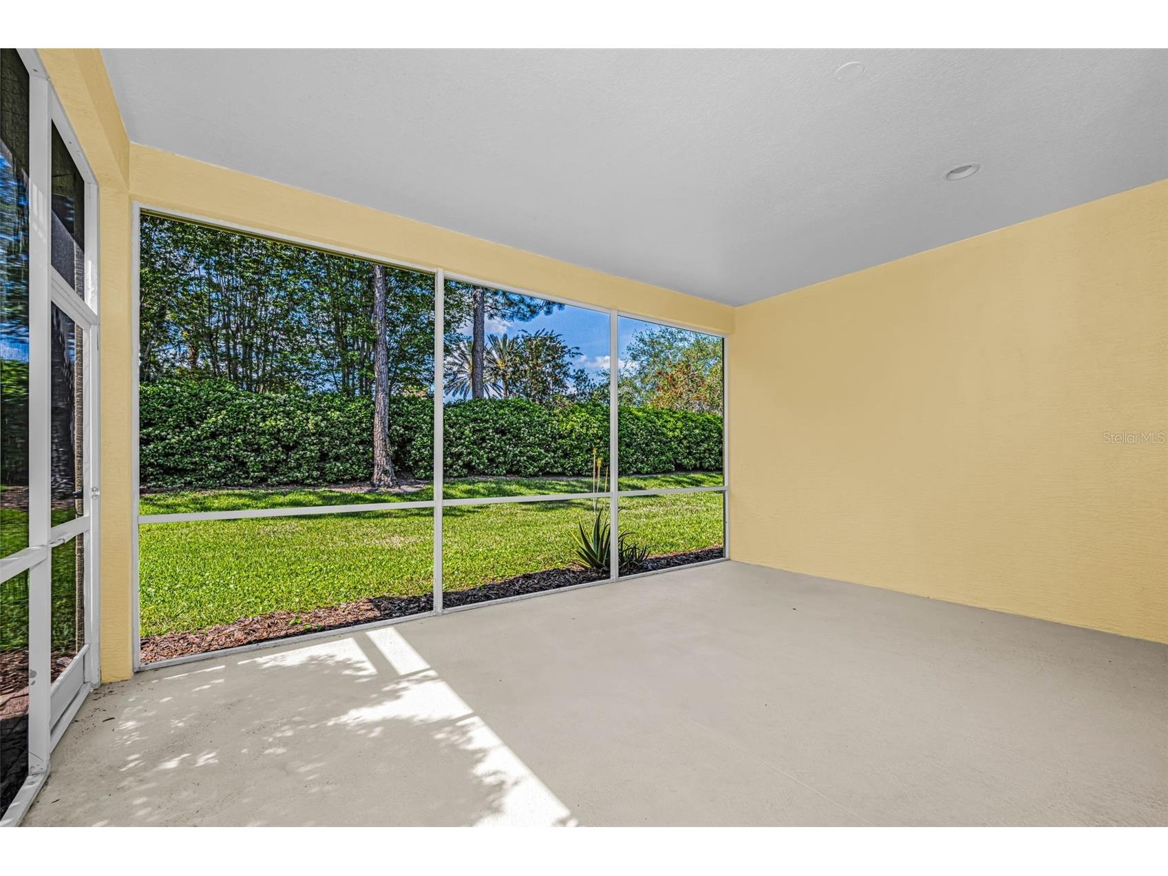 10324 Sorenstam Drive Trinity FL 34655 W7884495 image49