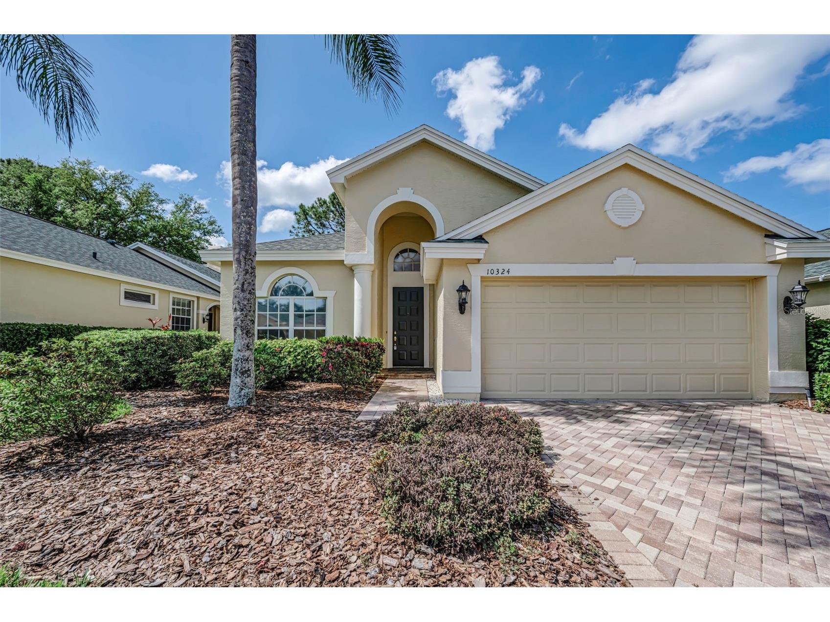 10324 Sorenstam Drive Trinity FL 34655 W7884495 image5