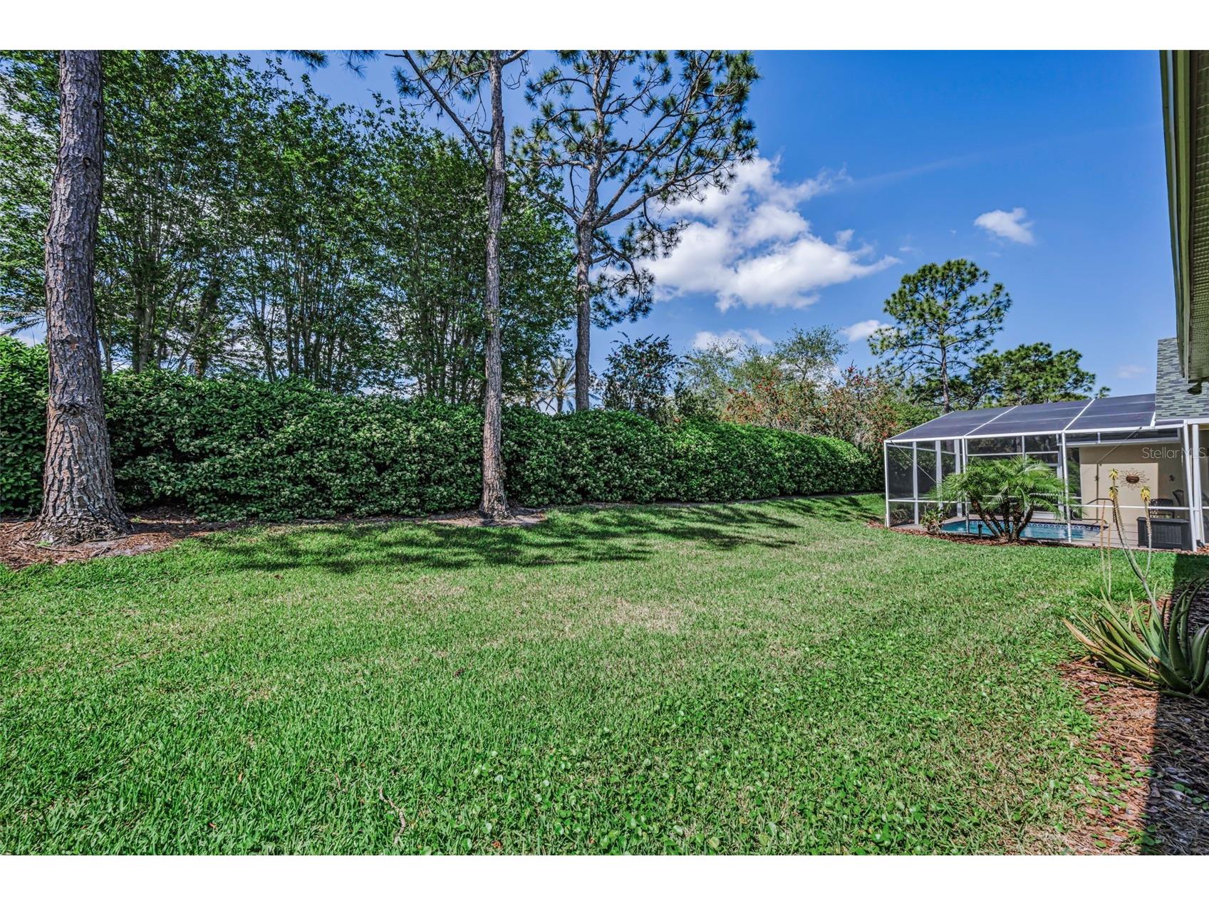 10324 Sorenstam Drive Trinity FL 34655 W7884495 image51