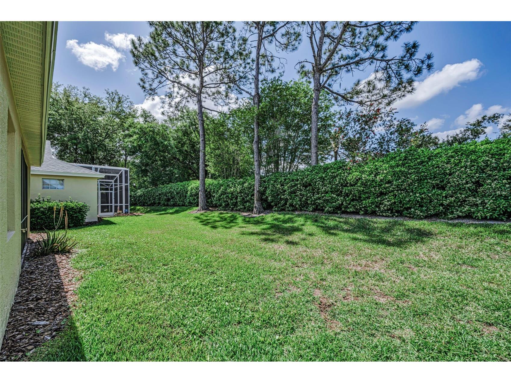 10324 Sorenstam Drive Trinity FL 34655 W7884495 image52