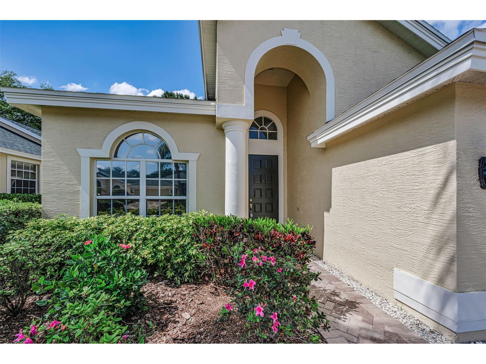 10324 Sorenstam Drive Trinity FL 34655 W7884495 image6