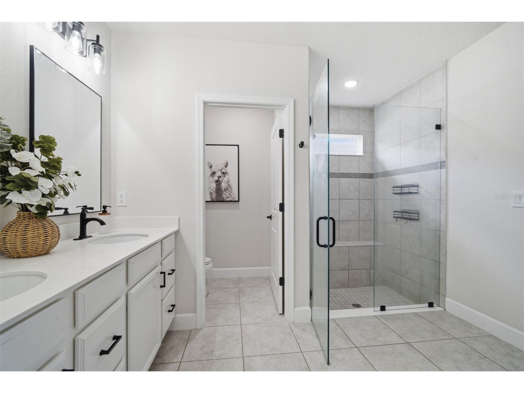 10325 Gliding Eagle Way Land O Lakes FL 34638 TB8504201 image22