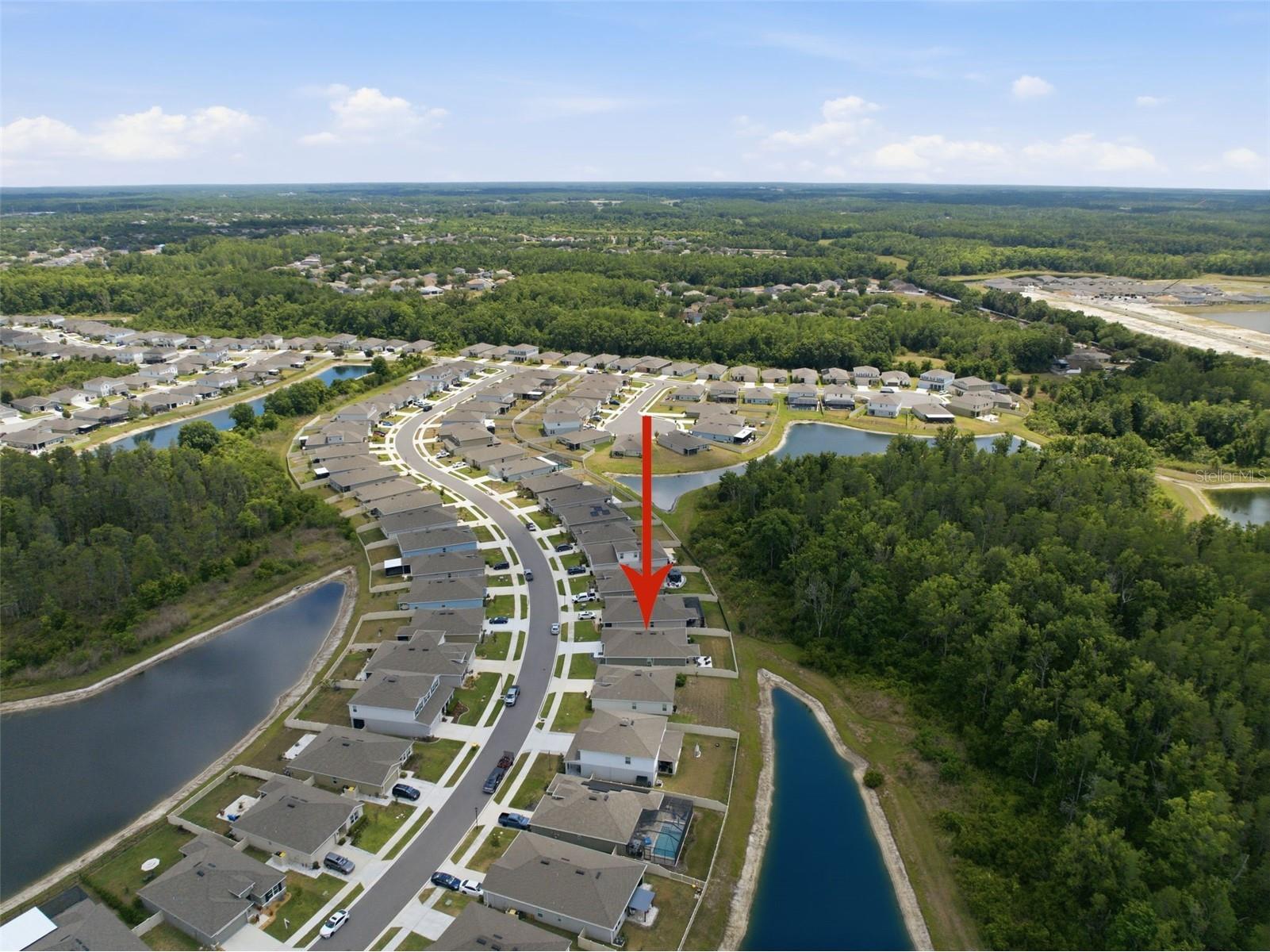 10325 Gliding Eagle Way Land O Lakes FL 34638 TB8504201 image41