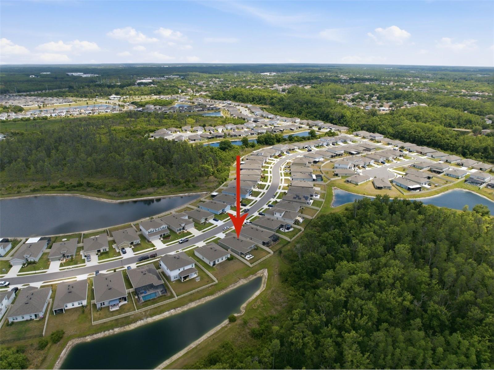 10325 Gliding Eagle Way Land O Lakes FL 34638 TB8504201 image42