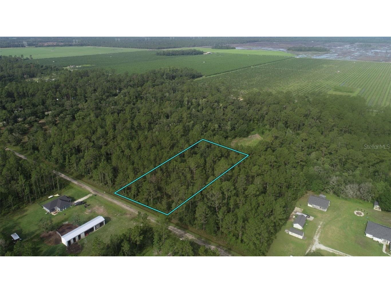 10325 Gregory Avenue Hastings FL 32145 TB8407281 image1