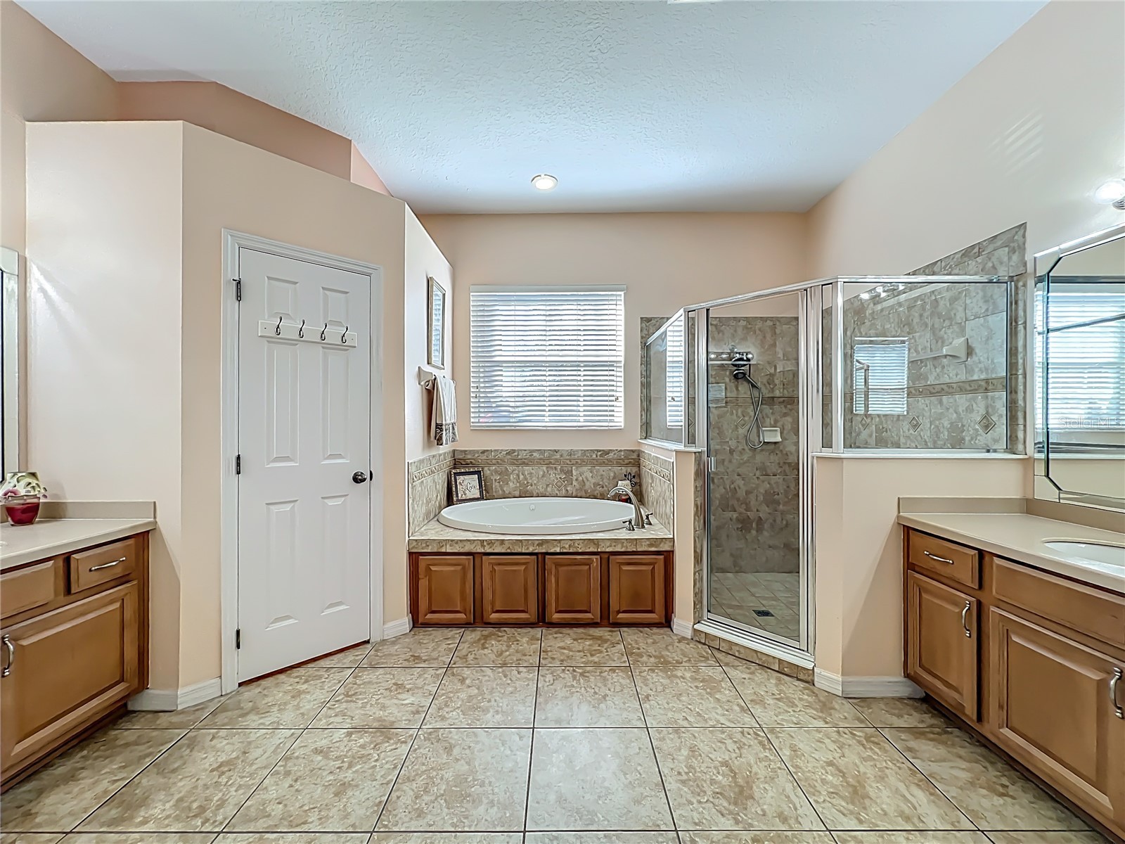 10325 Mallard Landings Way Orlando FL 32832 O6372149 image28