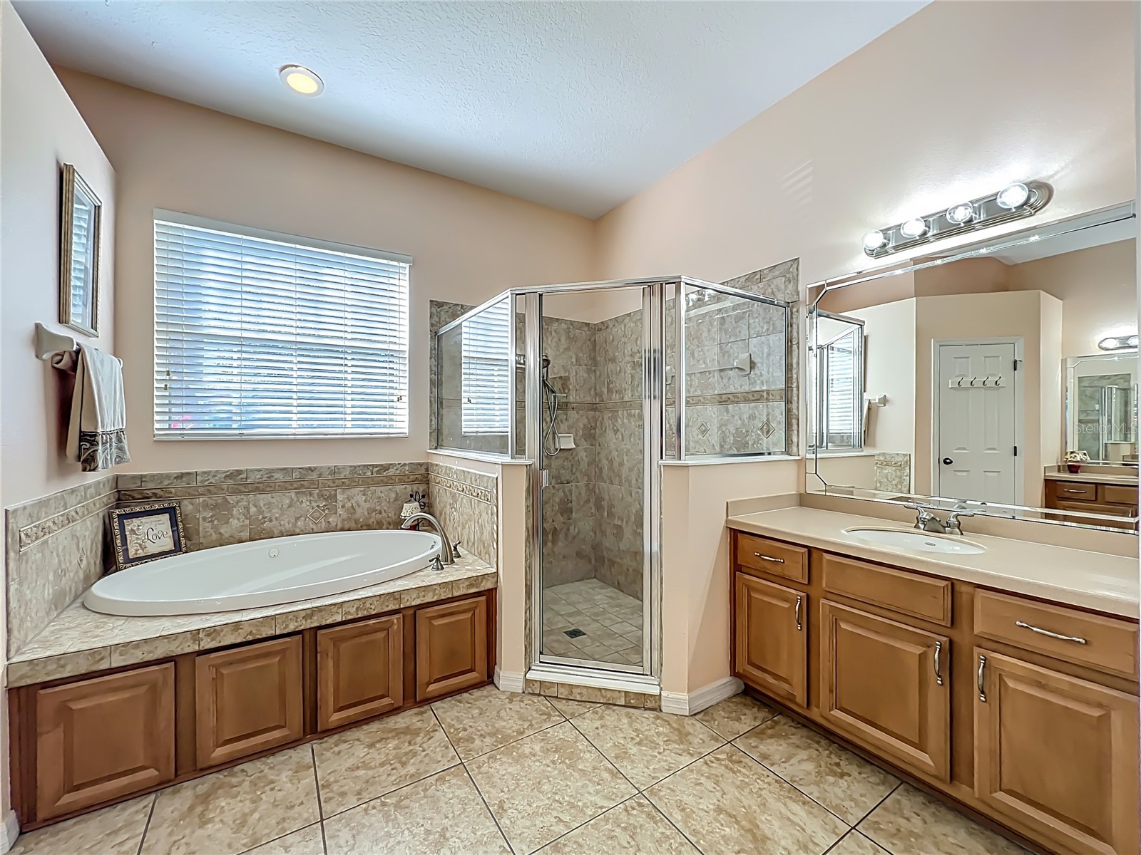 10325 Mallard Landings Way Orlando FL 32832 O6372149 image30