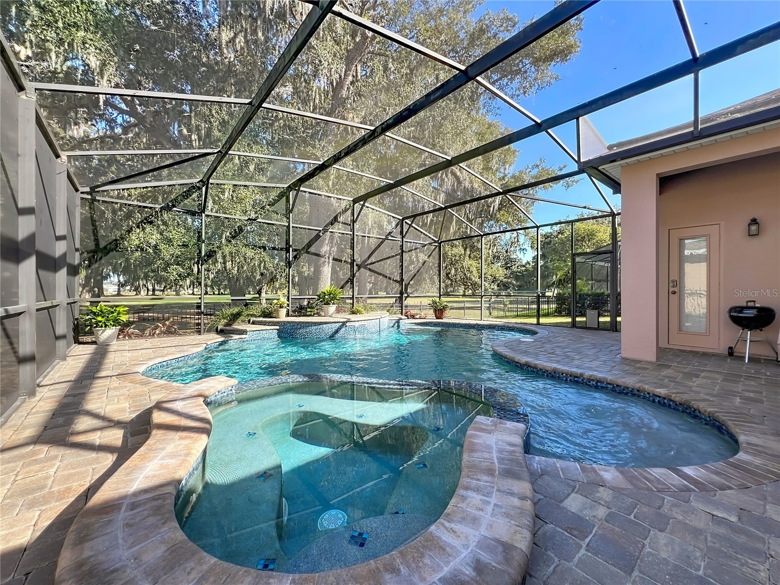 10325 Mallard Landings Way Orlando FL 32832 O6372149 image43