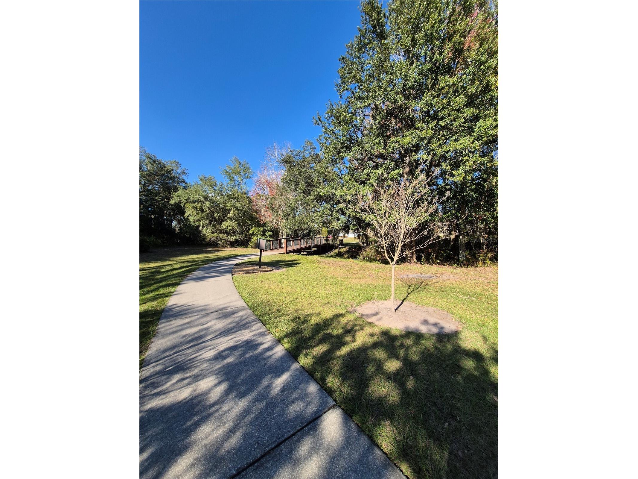 10325 Mallard Landings Way Orlando FL 32832 O6372149 image56