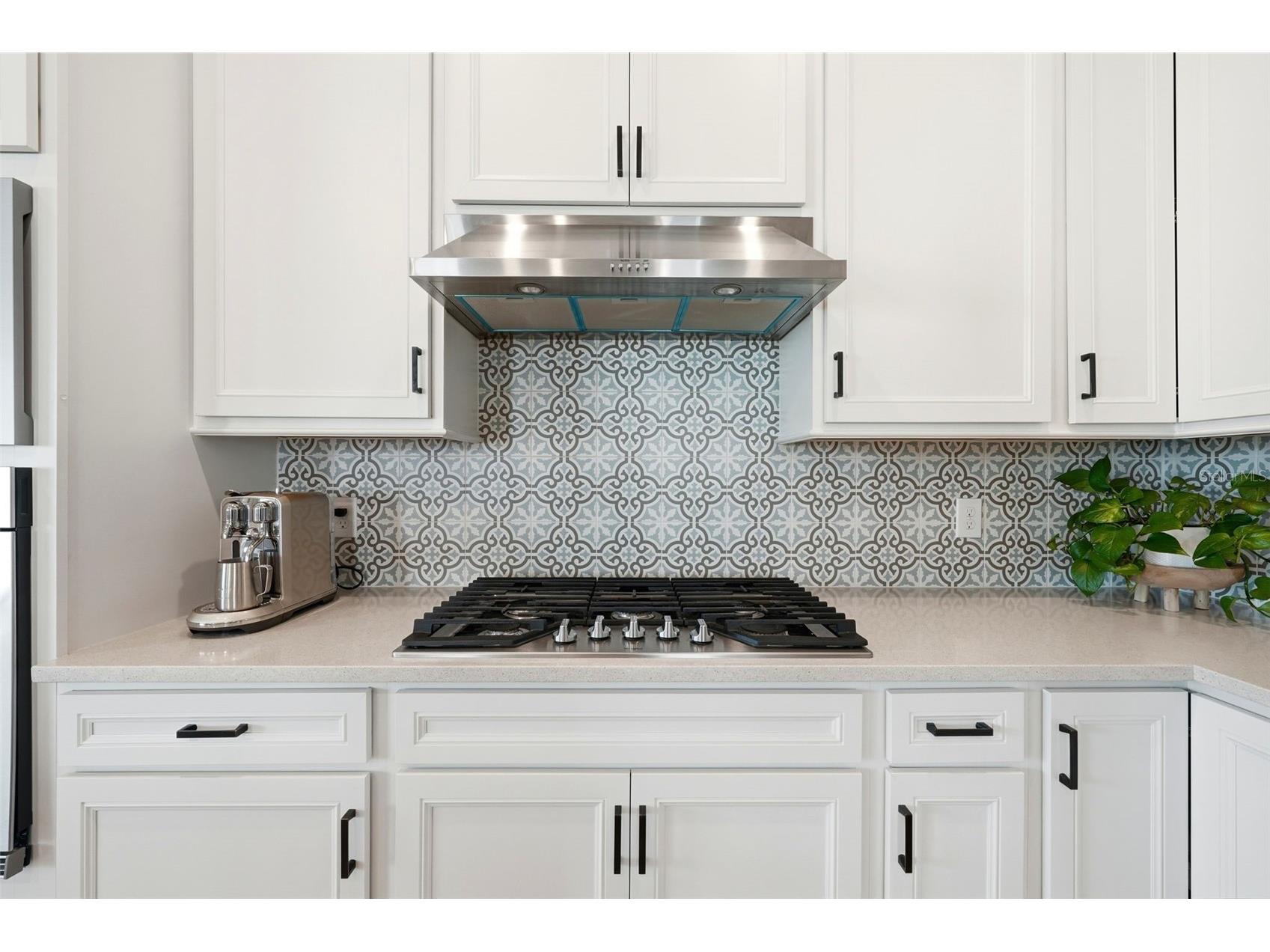 10325 Parkview Reserve Lane Orlando FL 32836 O6389813 image7