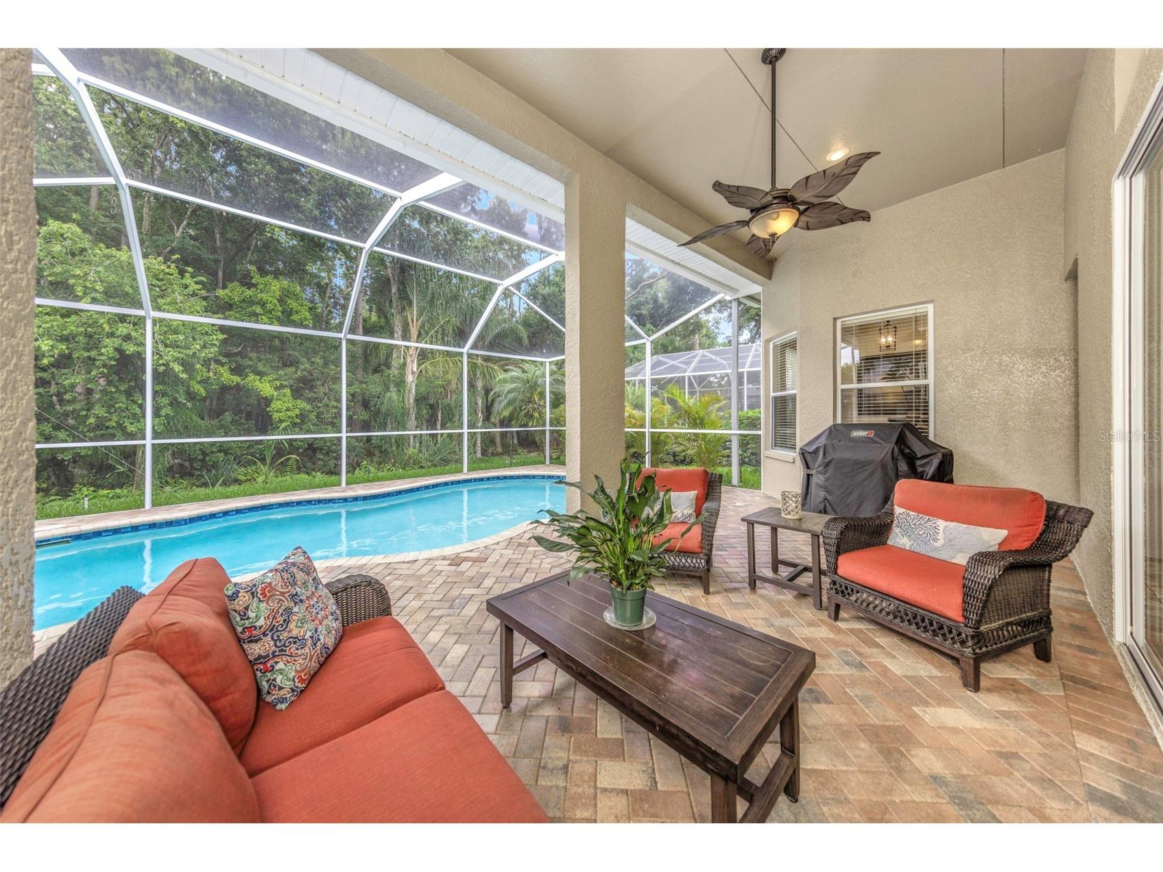 10326 Millport Drive Tampa FL 33626 TB8507080 image46