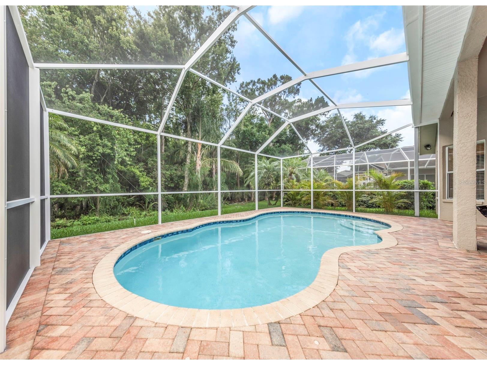 10326 Millport Drive Tampa FL 33626 TB8507080 image50