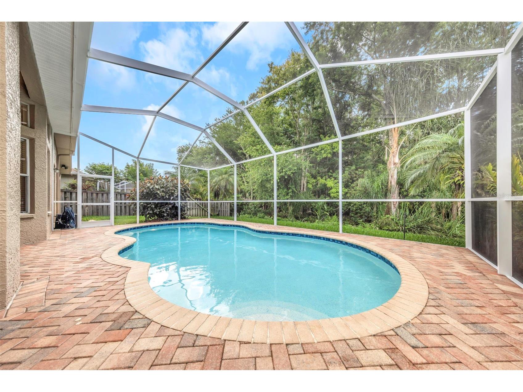 10326 Millport Drive Tampa FL 33626 TB8507080 image53