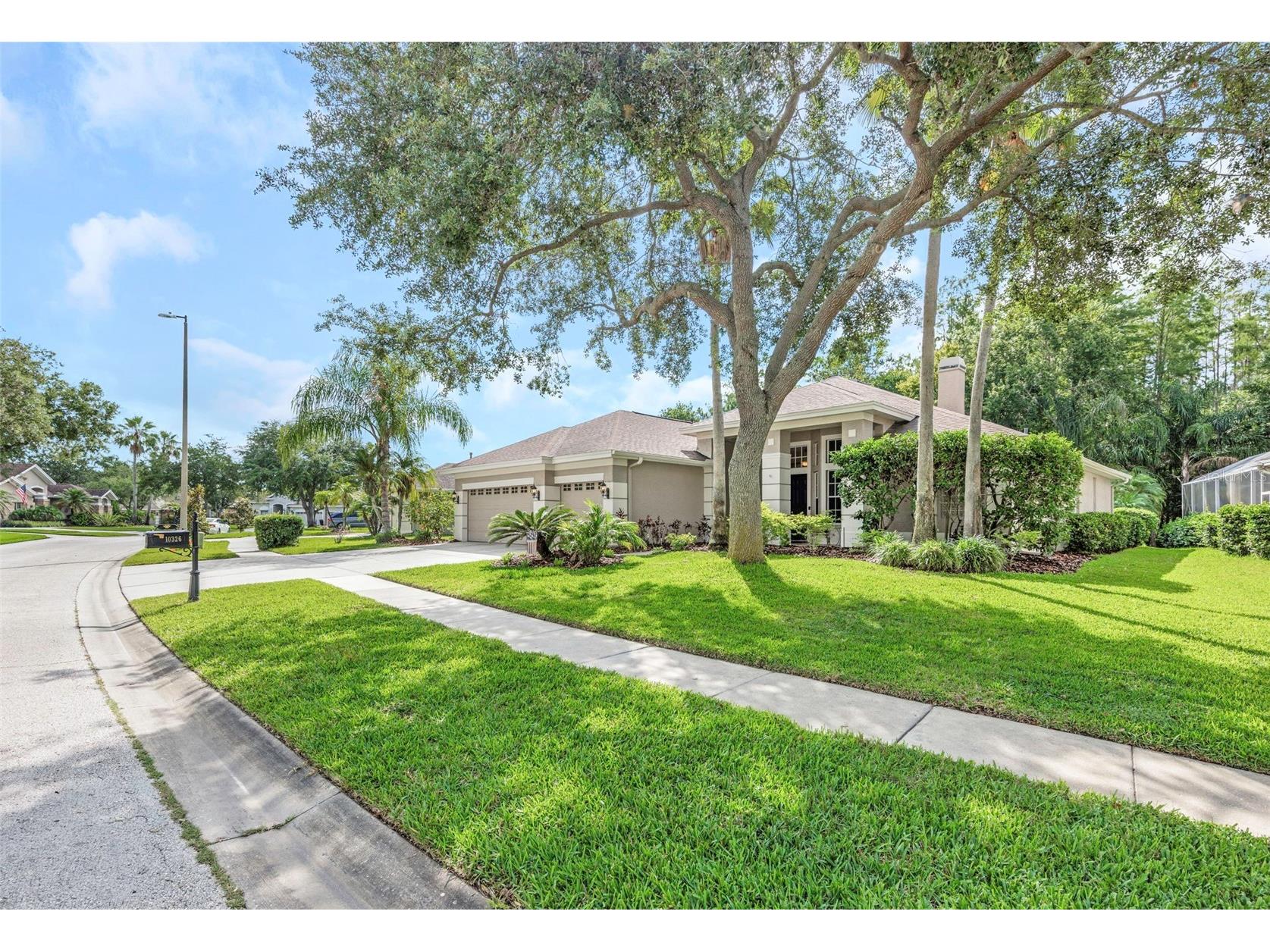 10326 Millport Drive Tampa FL 33626 TB8507080 image61