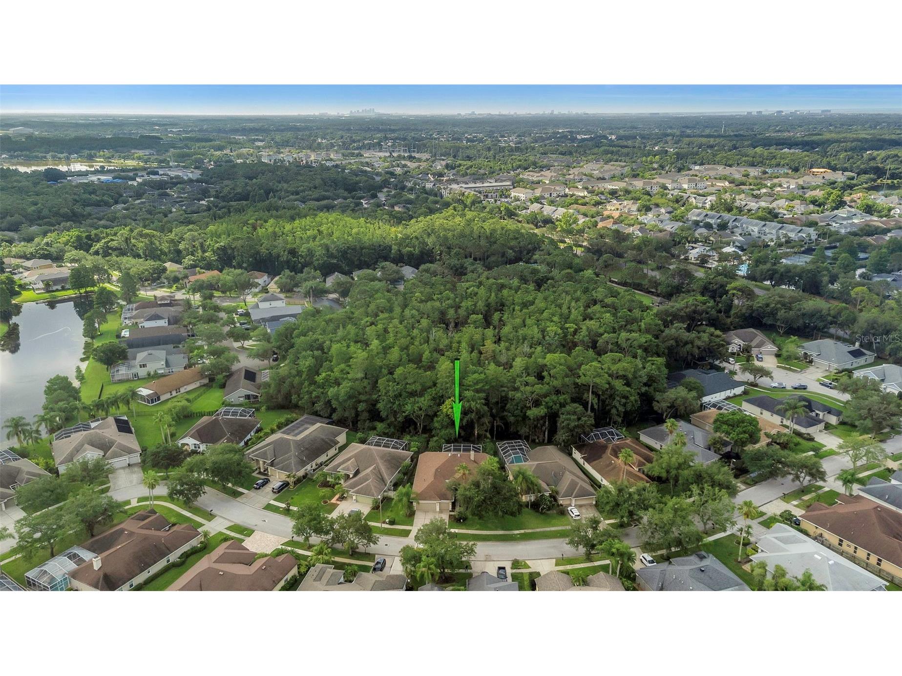 10326 Millport Drive Tampa FL 33626 TB8507080 image69