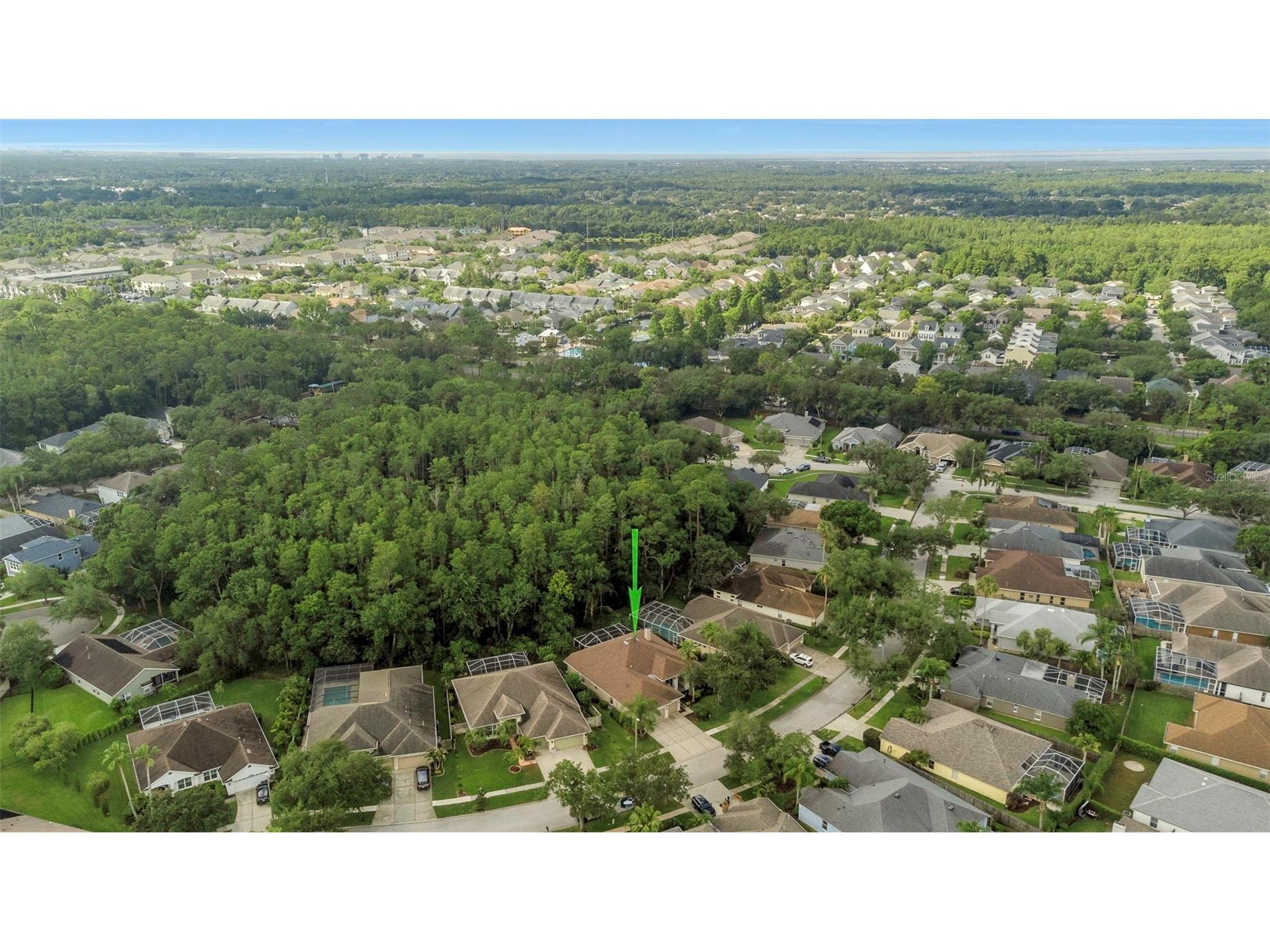 10326 Millport Drive Tampa FL 33626 TB8507080 image76