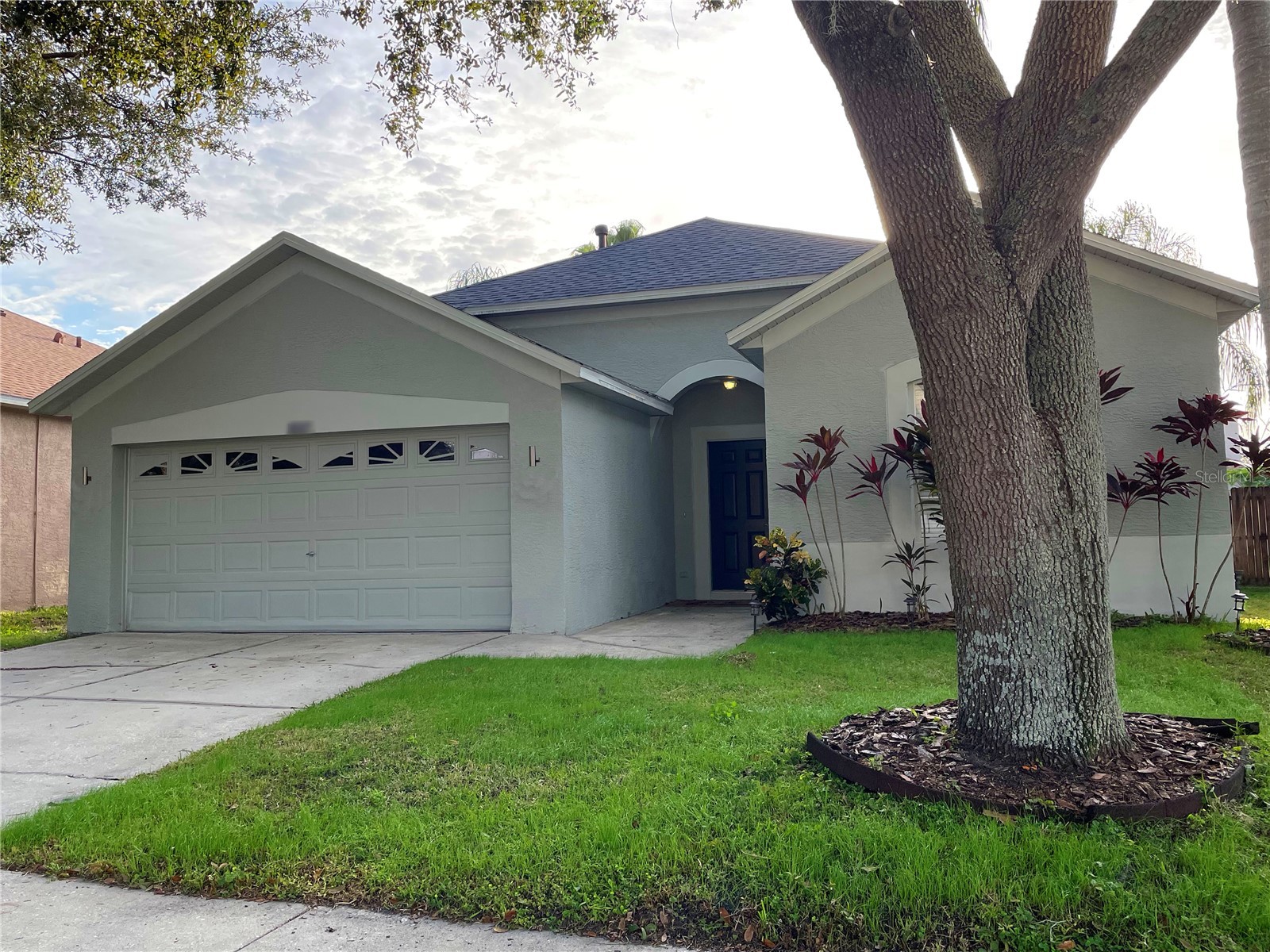 10327 Goldenbrook Way Tampa FL 33647 TB8506845 image2