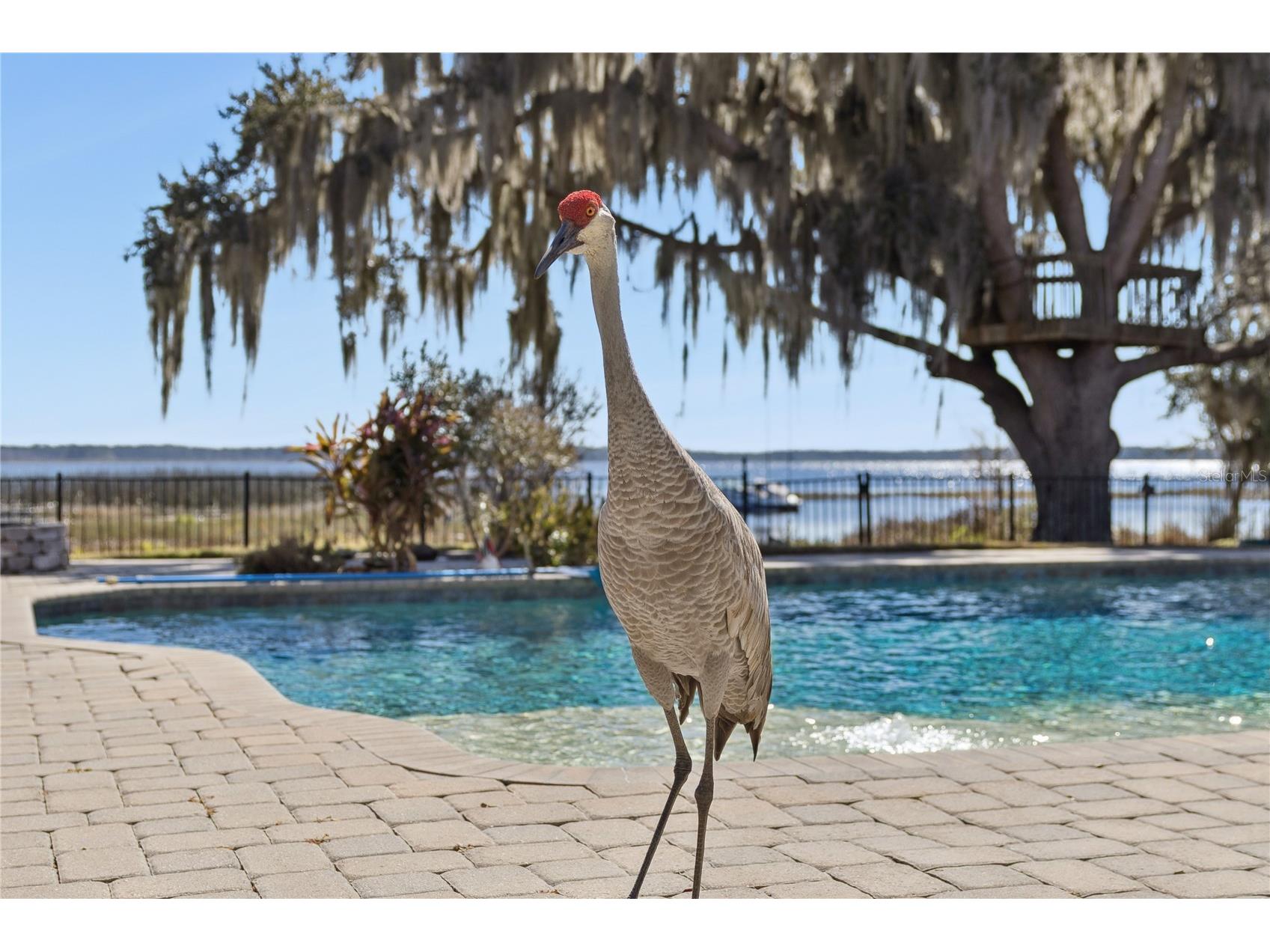 10327 Hart Branch Circle Orlando FL 32832 - LAKE HART O6378973 image48