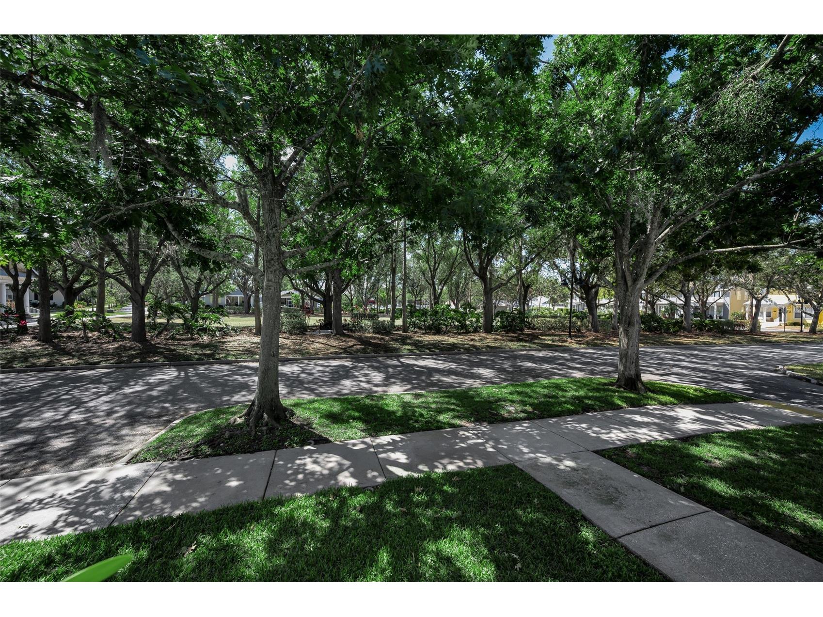 10327 Micanopy Street New Port Richey FL 34655 W7887404 image24