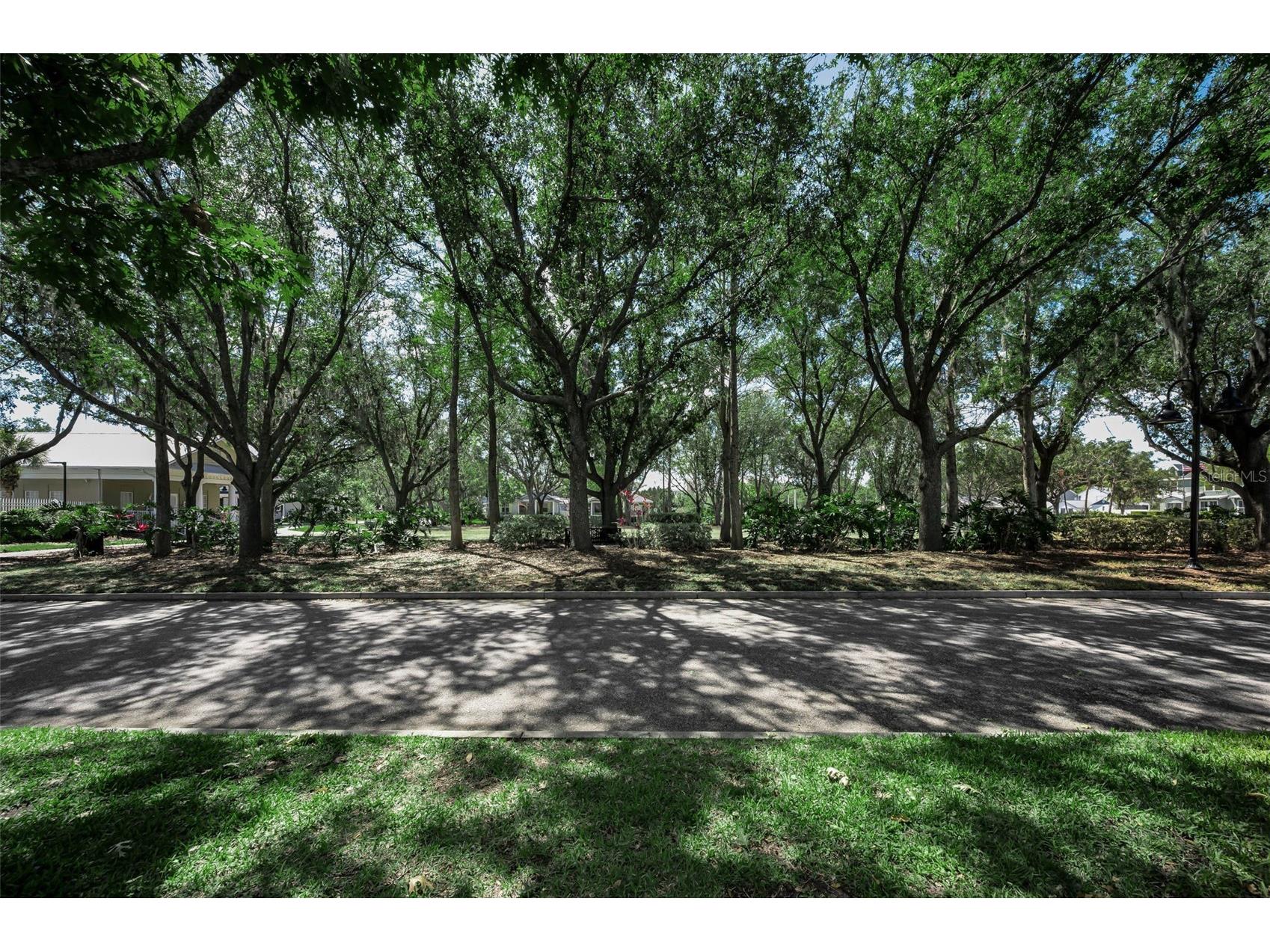 10327 Micanopy Street New Port Richey FL 34655 W7887404 image25
