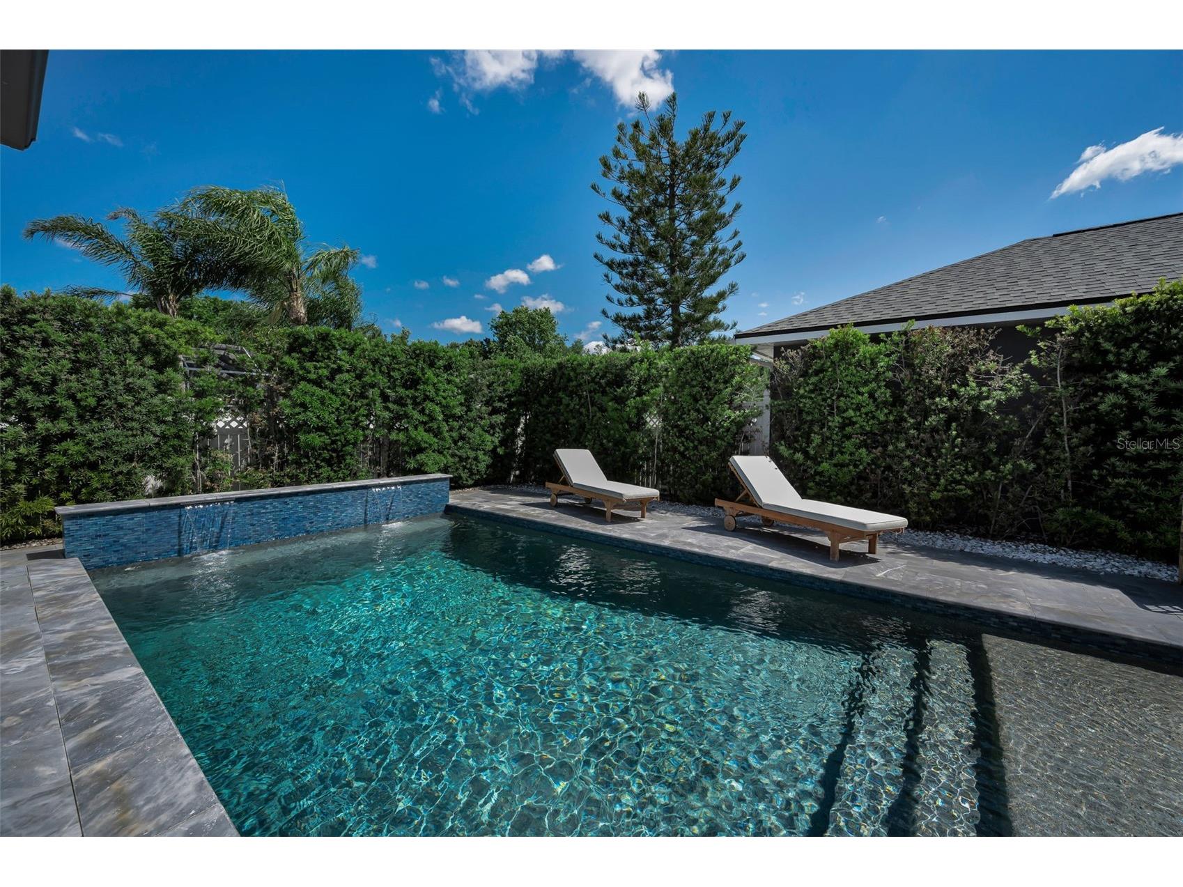 10327 Micanopy Street New Port Richey FL 34655 W7887404 image5