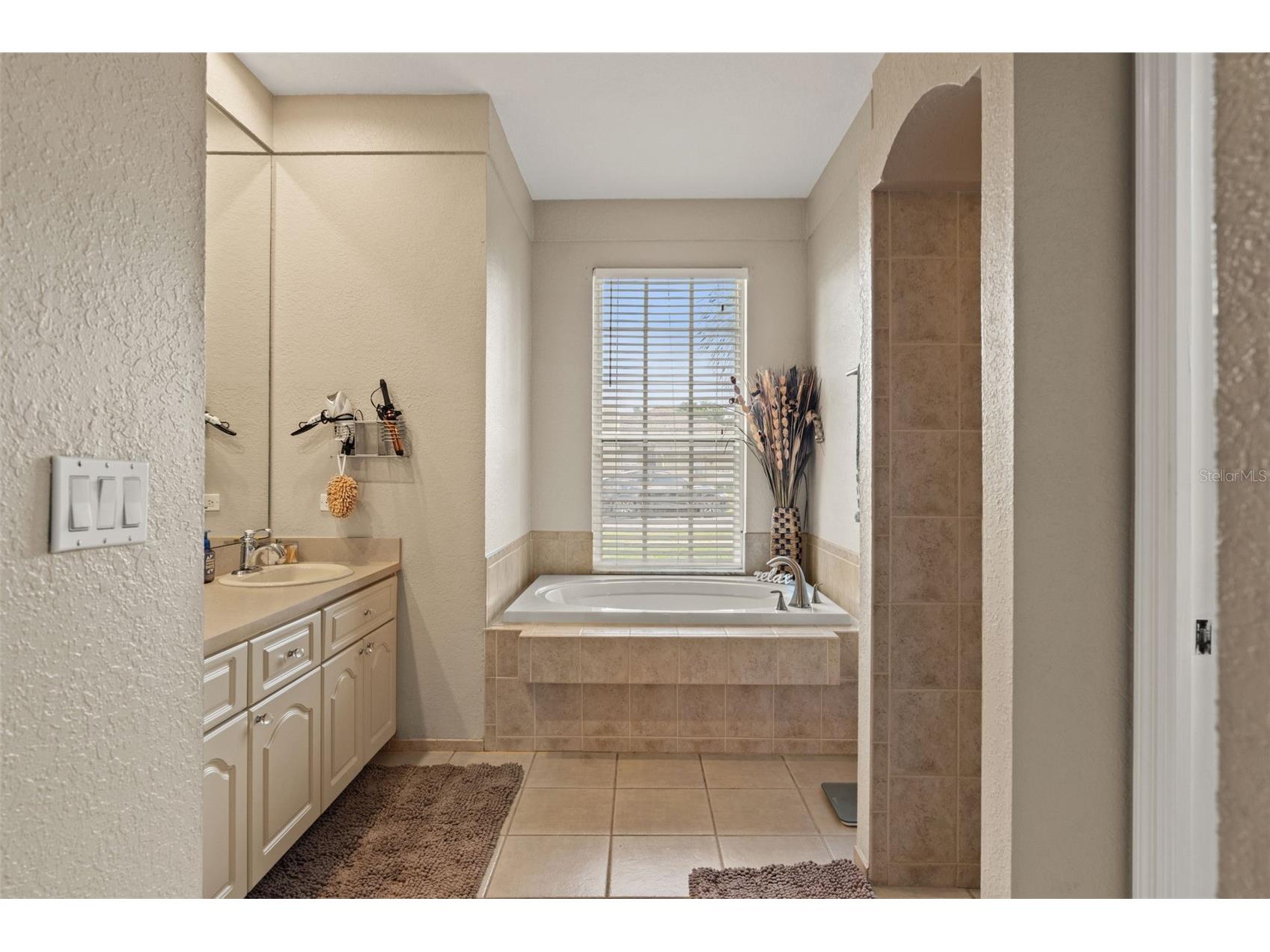 10327 Velvetseed Circle Spring Hill FL 34608 TB8507418 image10