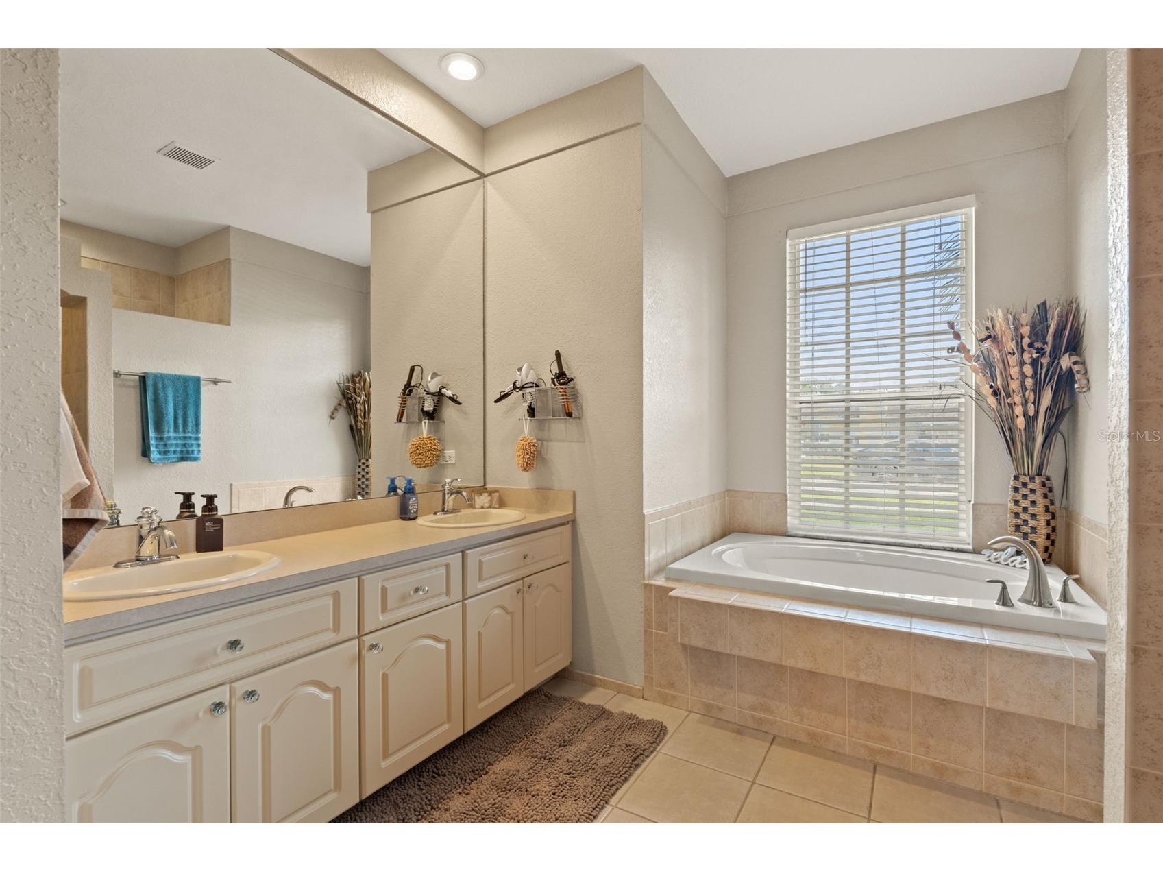 10327 Velvetseed Circle Spring Hill FL 34608 TB8507418 image11