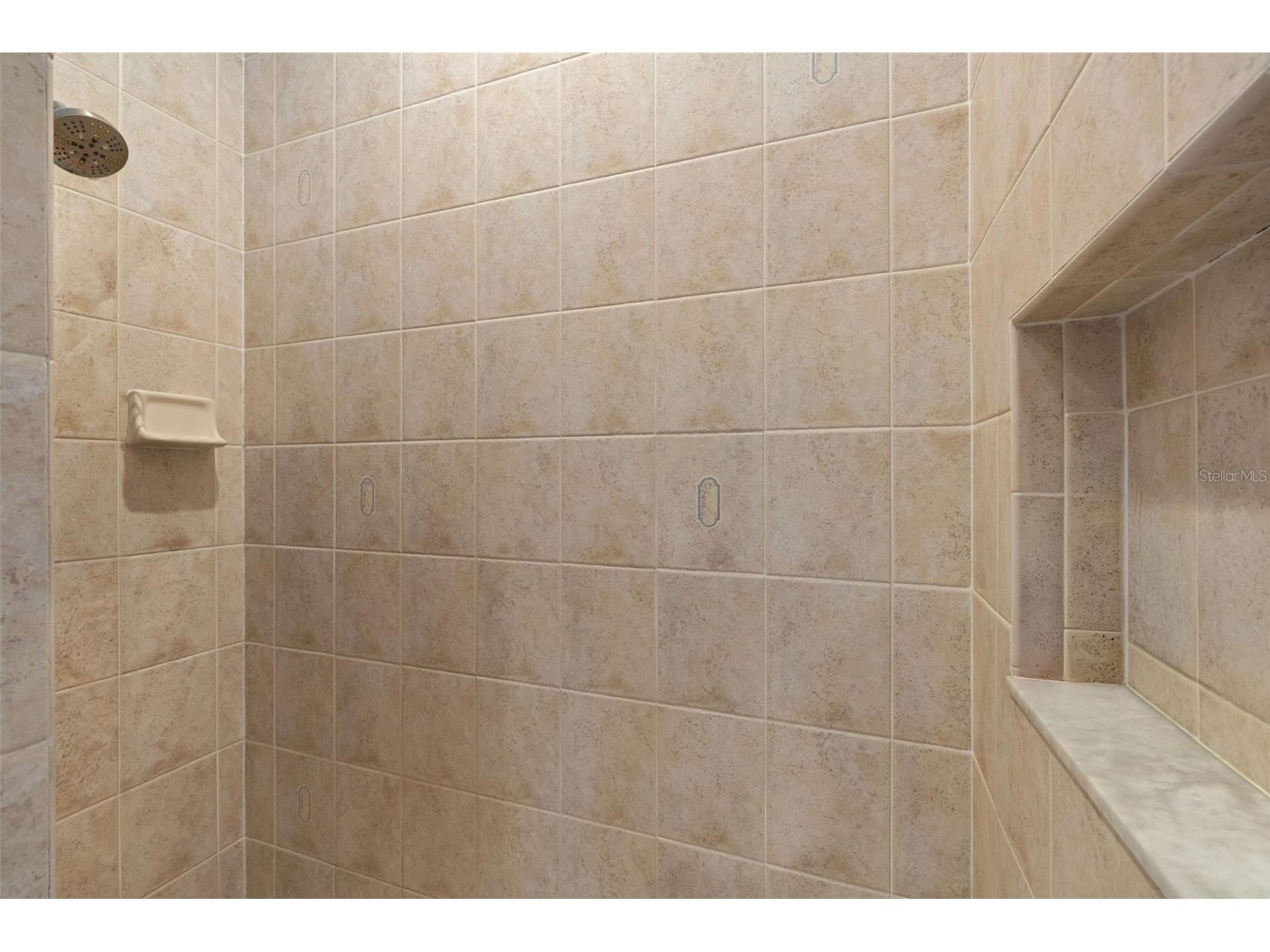 10327 Velvetseed Circle Spring Hill FL 34608 TB8507418 image12