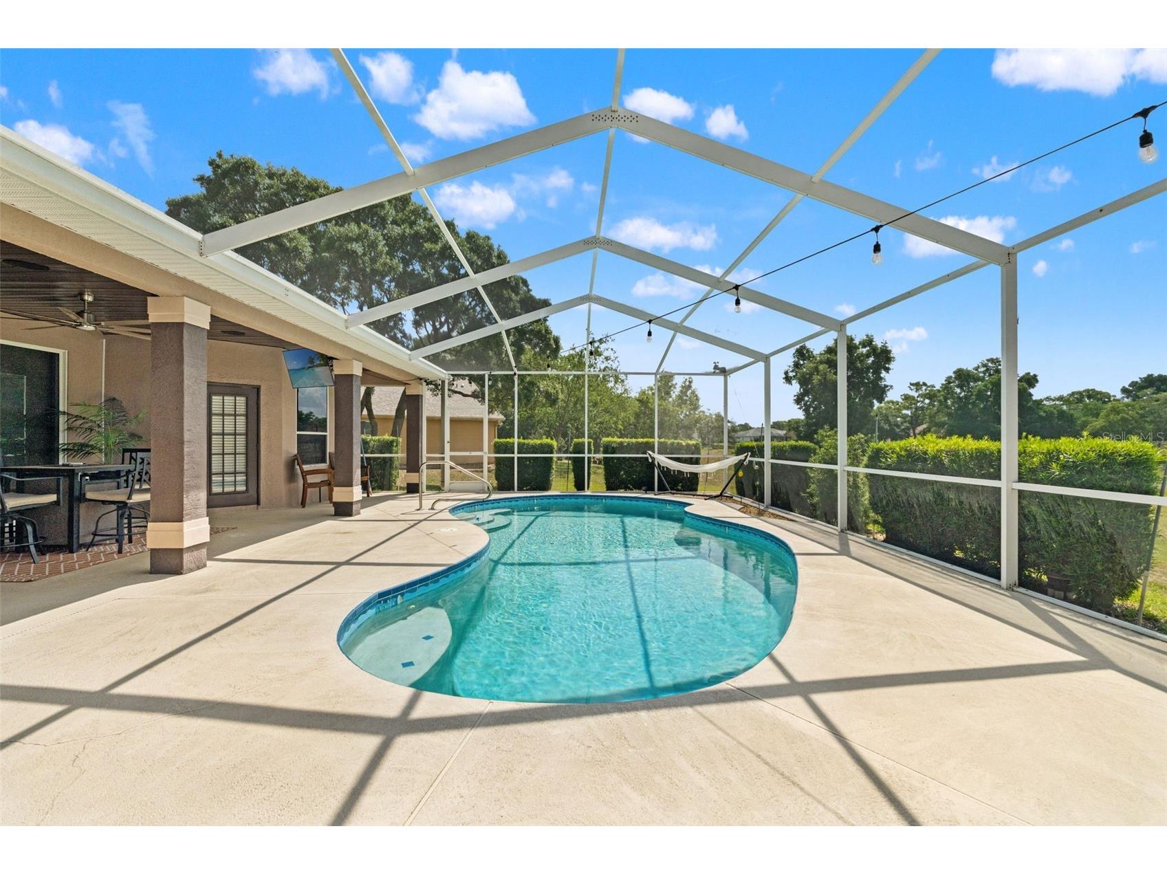 10327 Velvetseed Circle Spring Hill FL 34608 TB8507418 image48